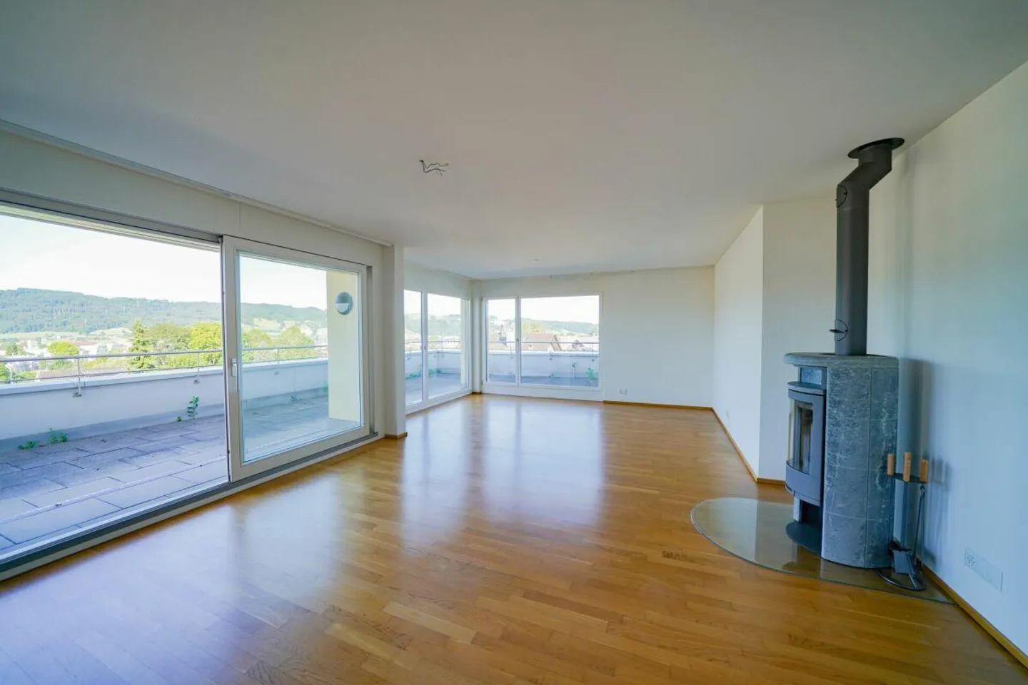 Penthouse Apartment with Panorama Terrace - Photo 6 of 9