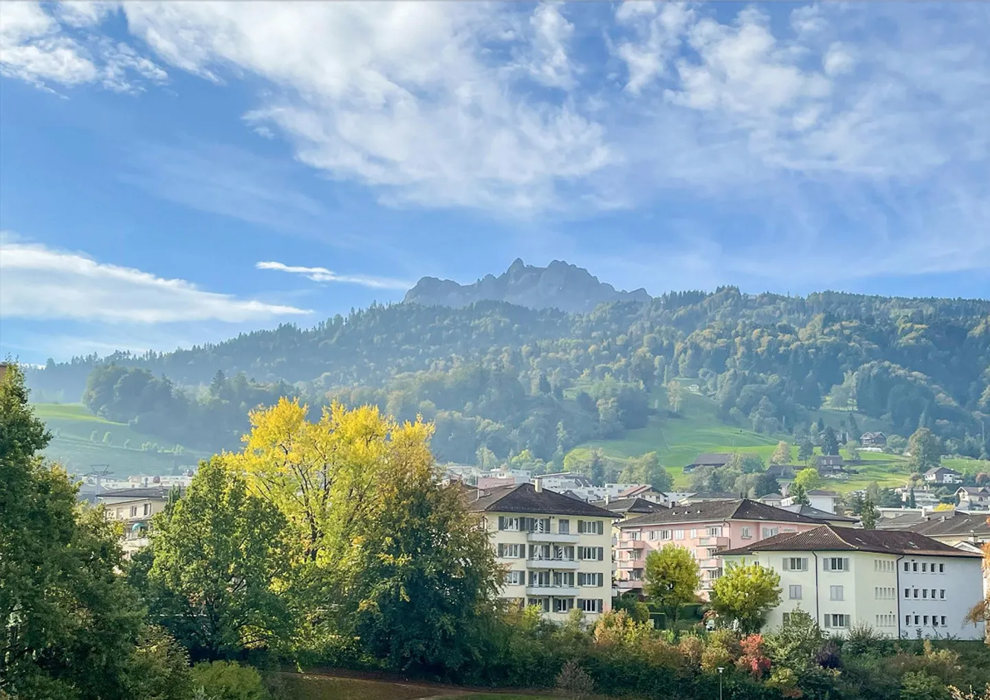 Appartamento 3.5 locali completamente ristrutturato con vista sul Pilatus nel cuore di Kriens - Foto 18 di 22