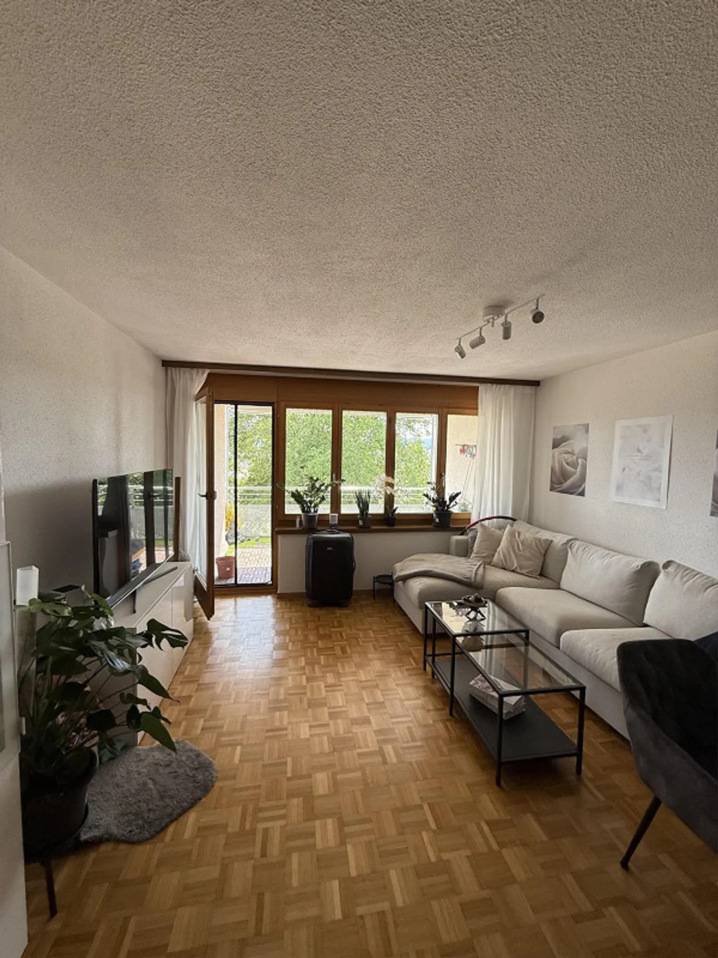 Appartement lumineux de 2,5 pièces à louer à Sulgen - Photo 3 sur 5