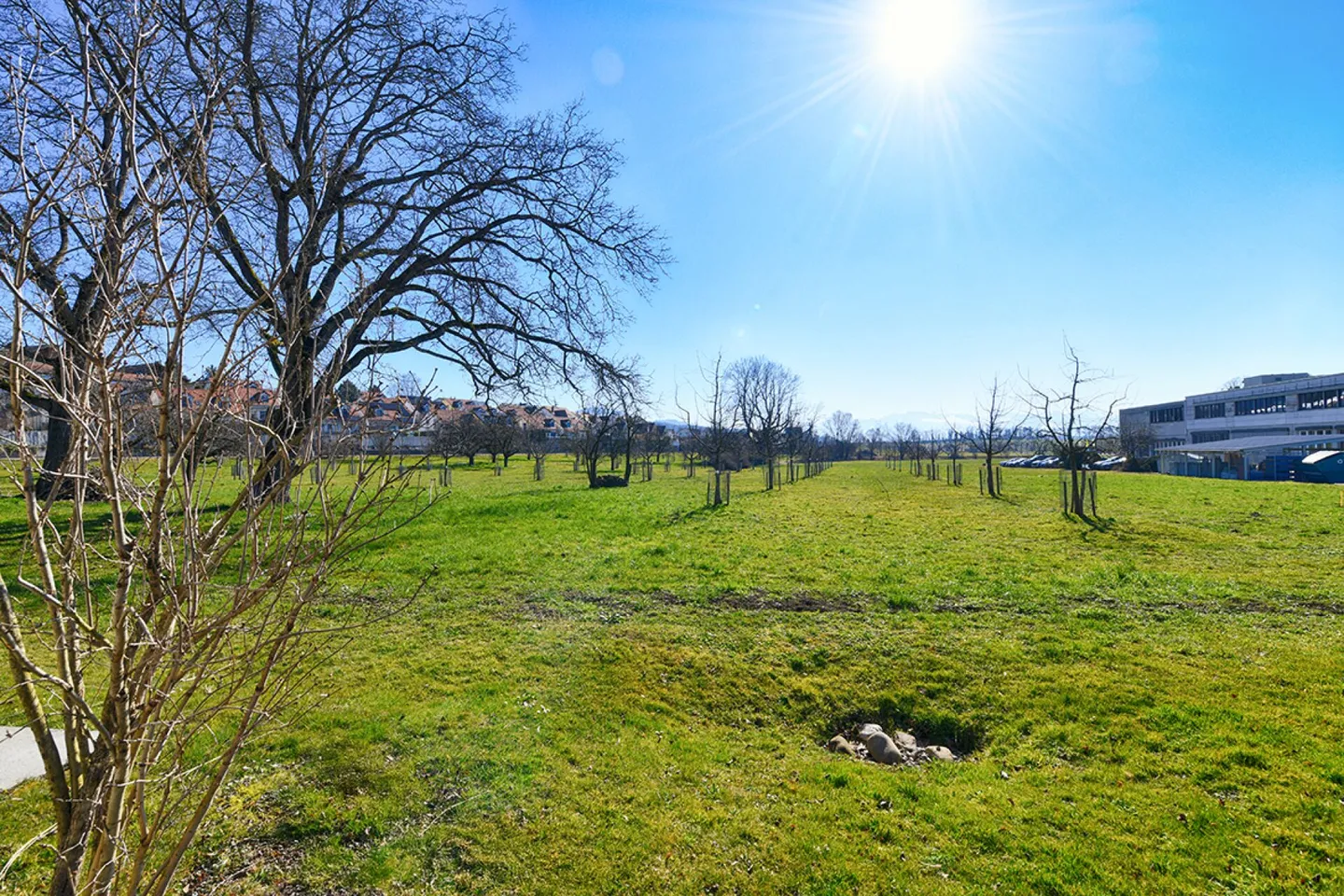 Former Farmhouse - Photo 17 of 20