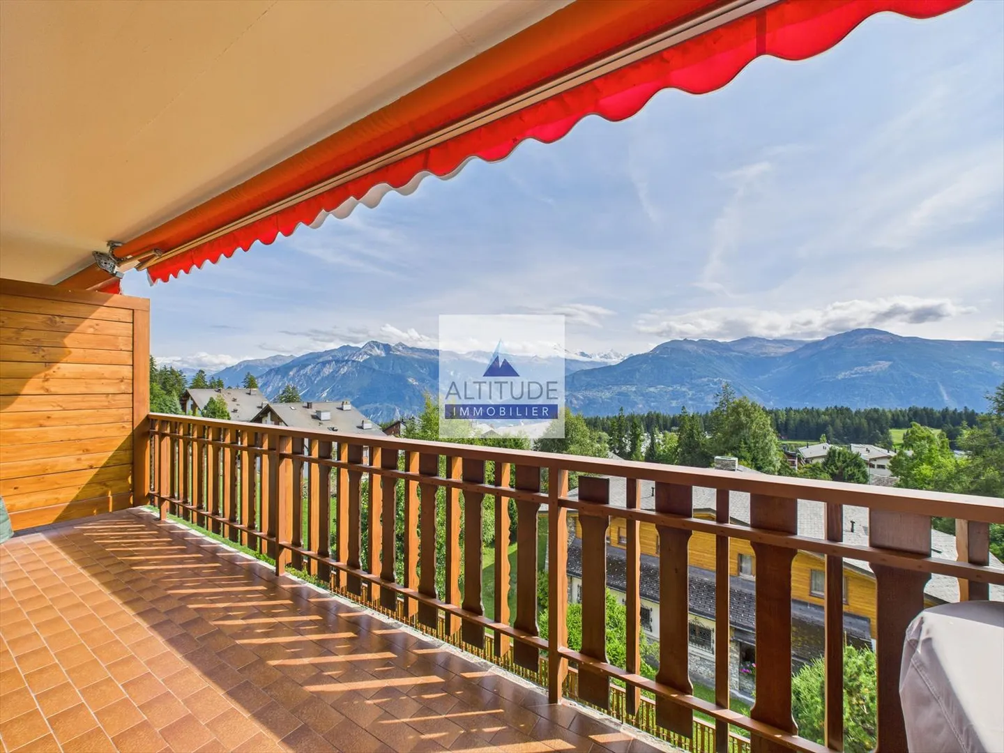 The Daisies - Photo 1 of 13