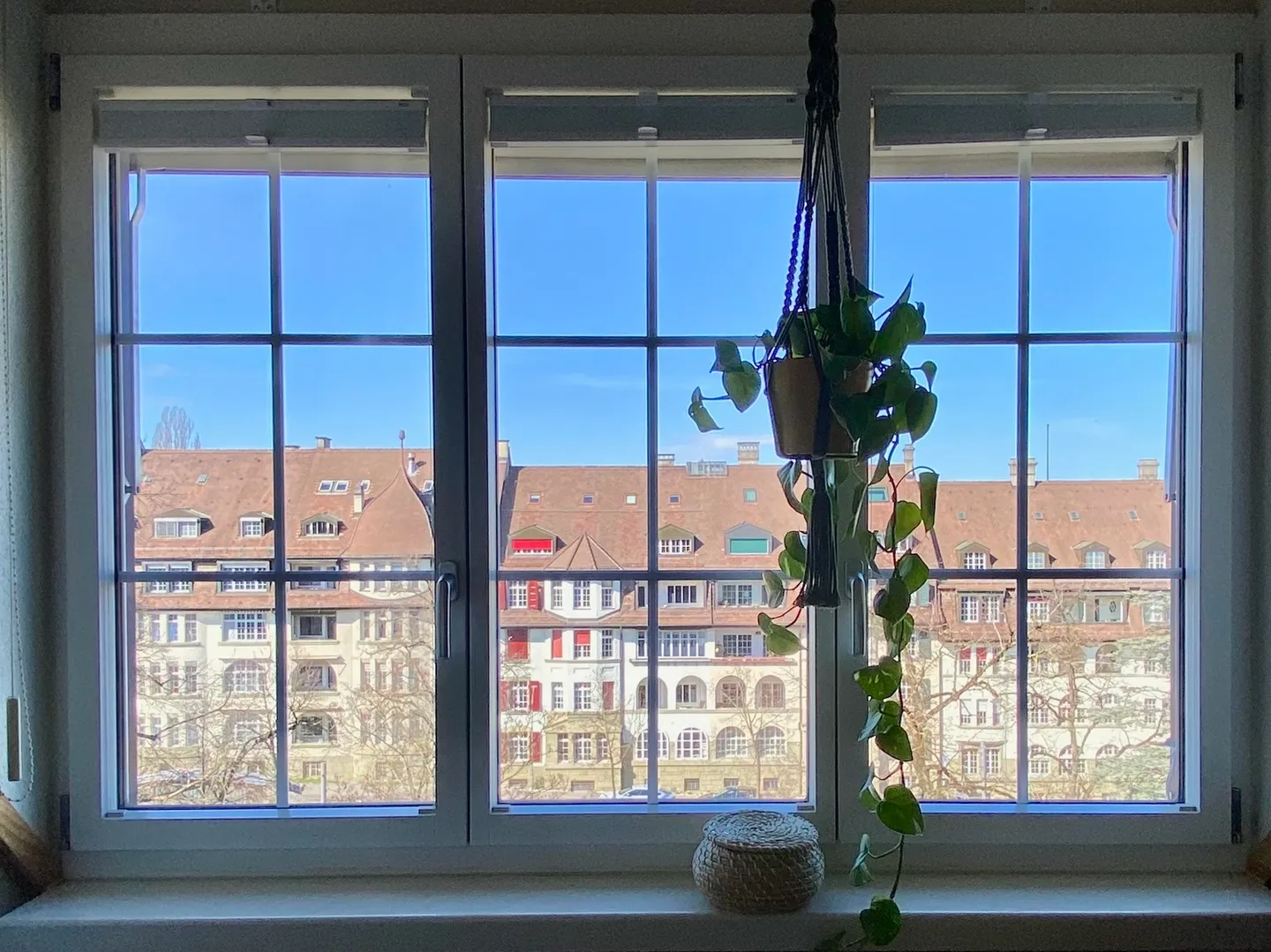 Appartamento 1 stanza a Berna - Breitenrain, arredato, temporaneo - Foto 10 di 10