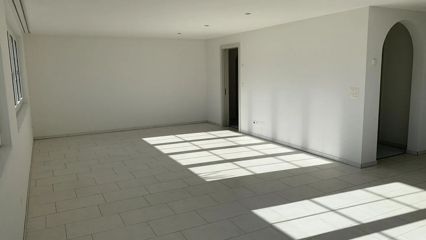 Appartamento luminoso e spazioso appena ristrutturato - Foto 3 di 14