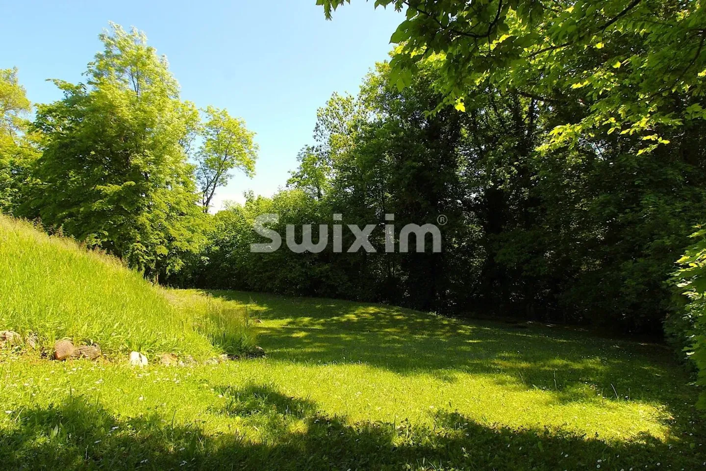 Spacious residence and private park - Photo 6 of 6