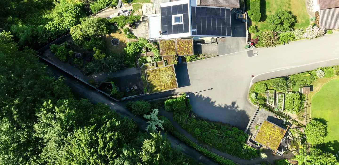 Vivere nel verde - Paradiso del giardino e foresta proprio davanti alla tua porta - Foto 1 di 13