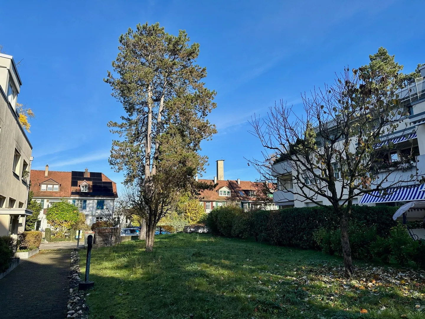 Ottimo appartamento in una posizione tranquilla con vista sul verde a Riehen - Foto 4 di 14