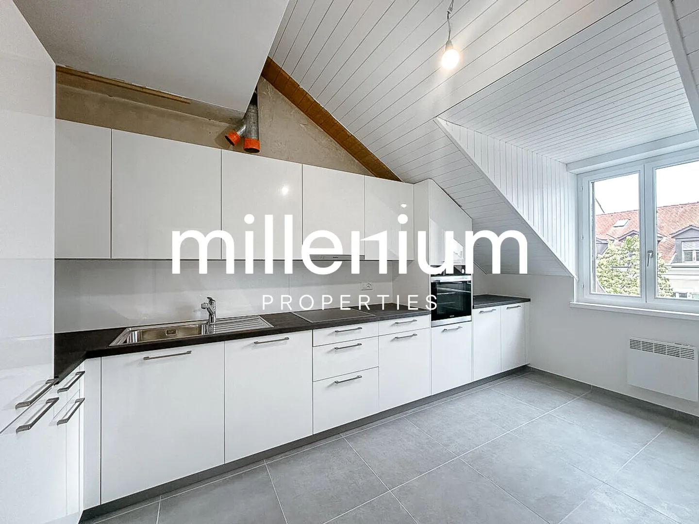 Renovated penthouse duplex in old Carouge - Photo 2 of 10