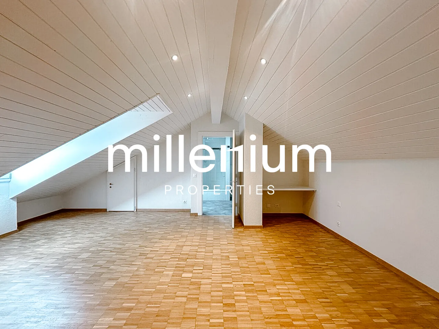 Renovated penthouse duplex in old Carouge - Photo 3 of 10