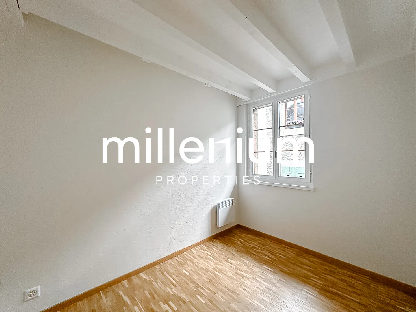 Renovated penthouse duplex in old Carouge - Photo 4 of 10
