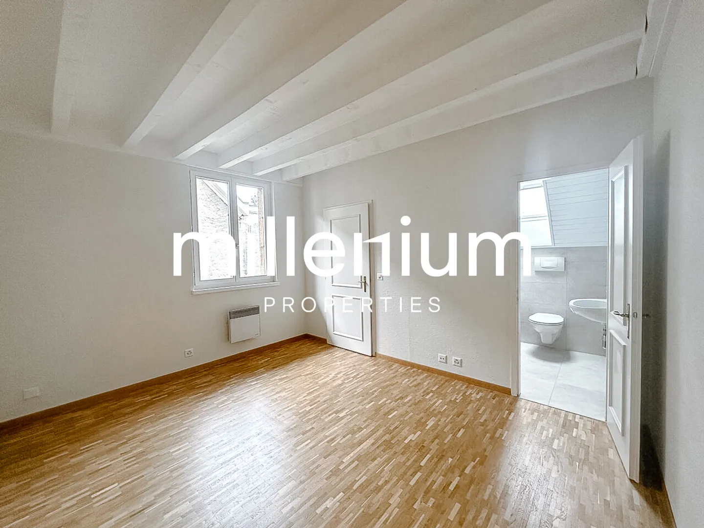 Renovated penthouse duplex in old Carouge - Photo 7 of 10