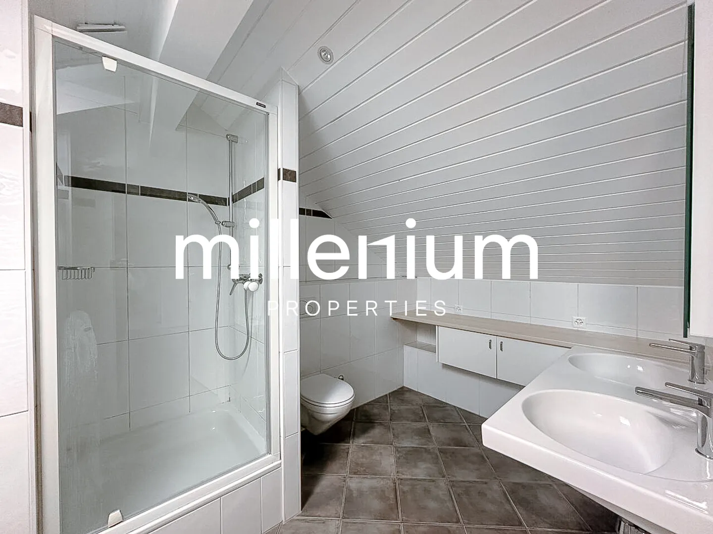 Renovated penthouse duplex in old Carouge - Photo 8 of 10