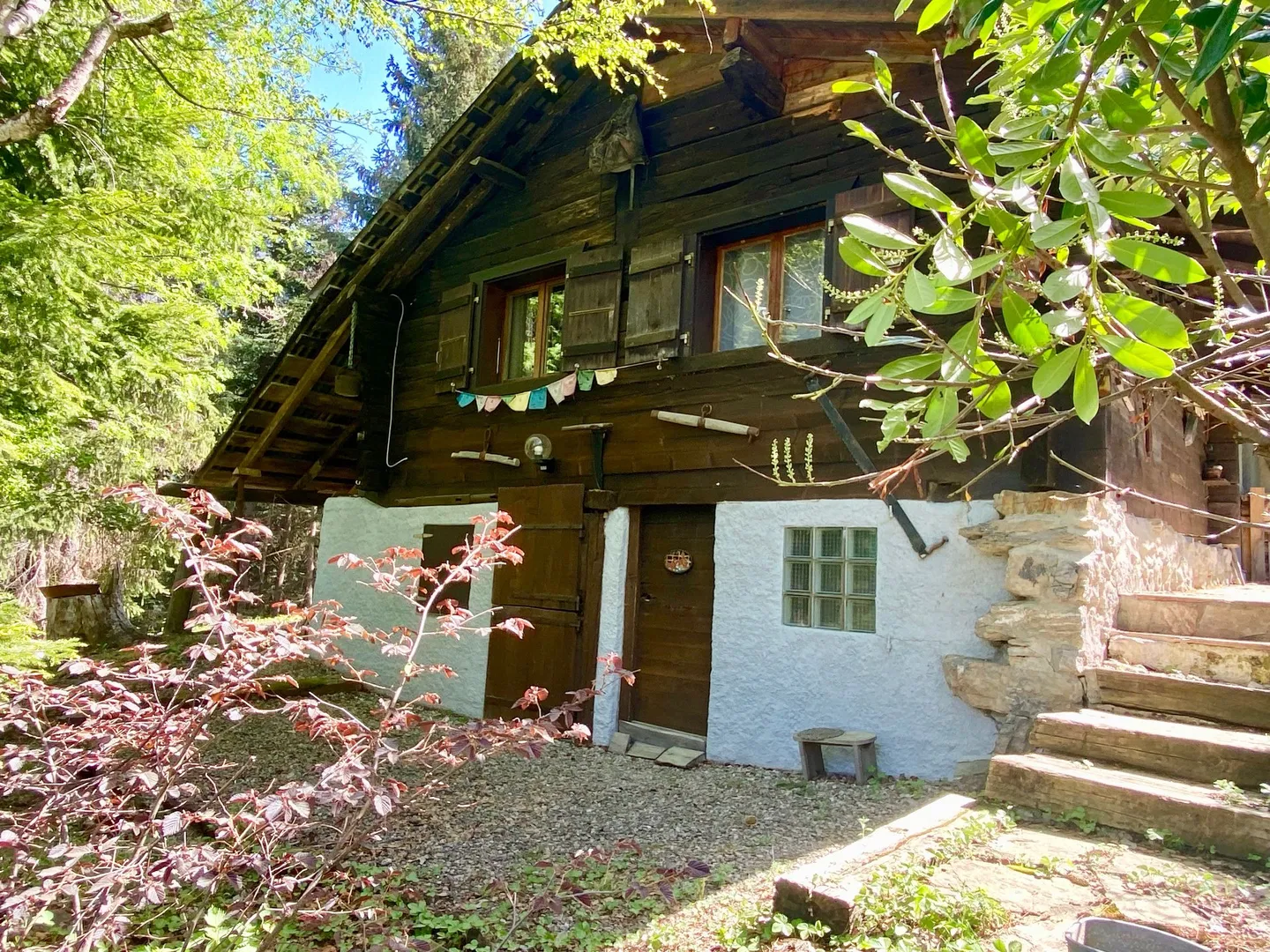 Charming Chalet in Sanetsch Valley - Photo 2 of 13