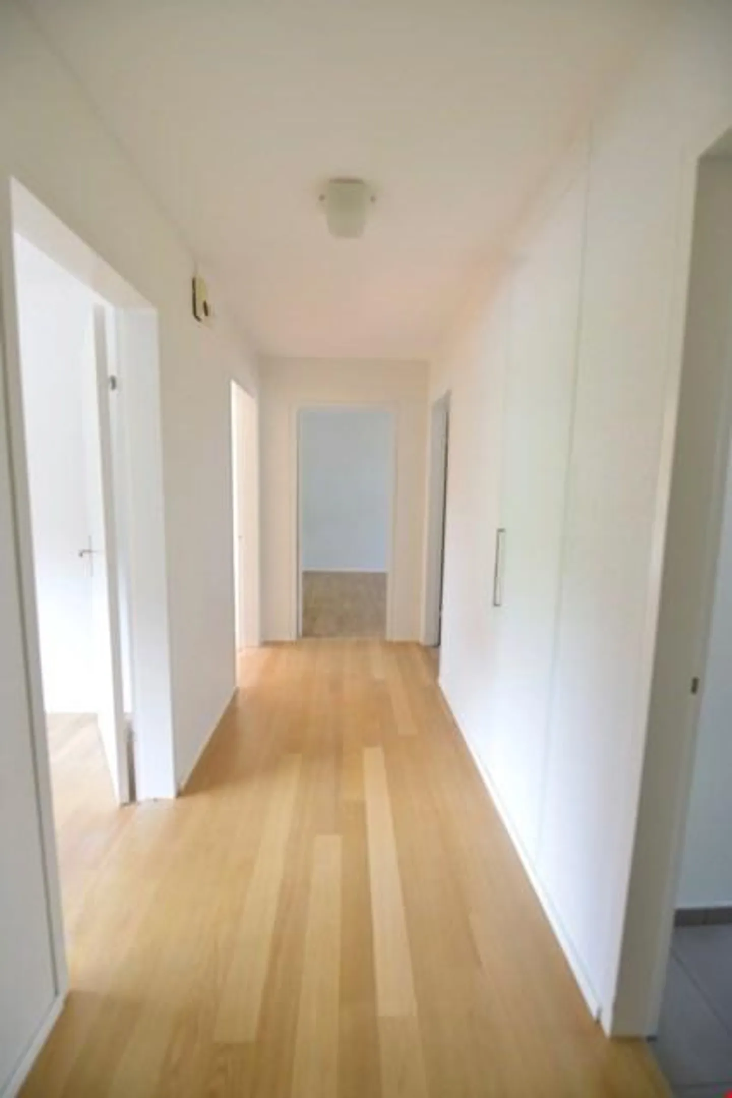 Appartement 3,5 pièces - Photo 4 sur 7