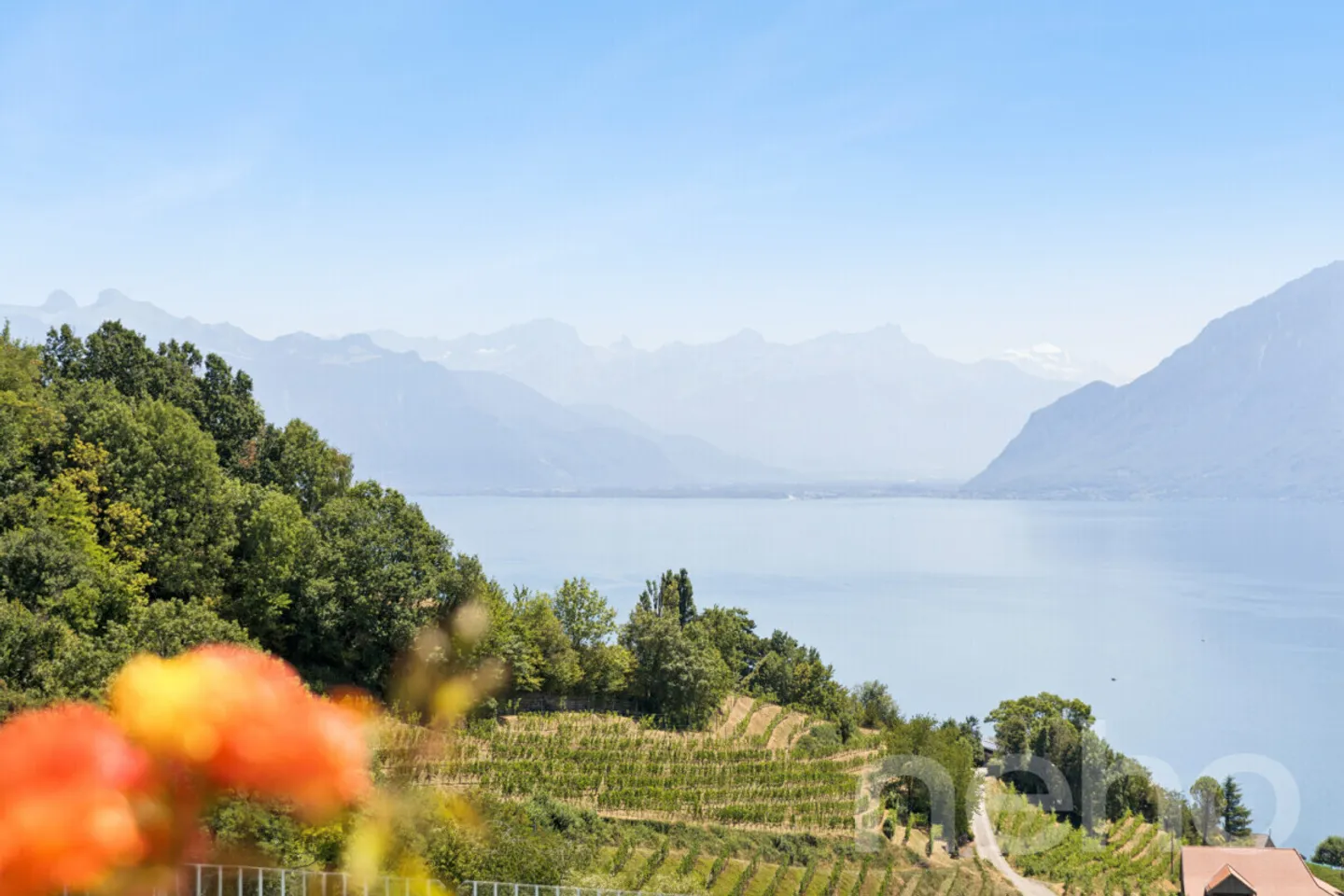 Between Lake and Vines: A Rare Property in Grandvaux - Photo 11 of 12