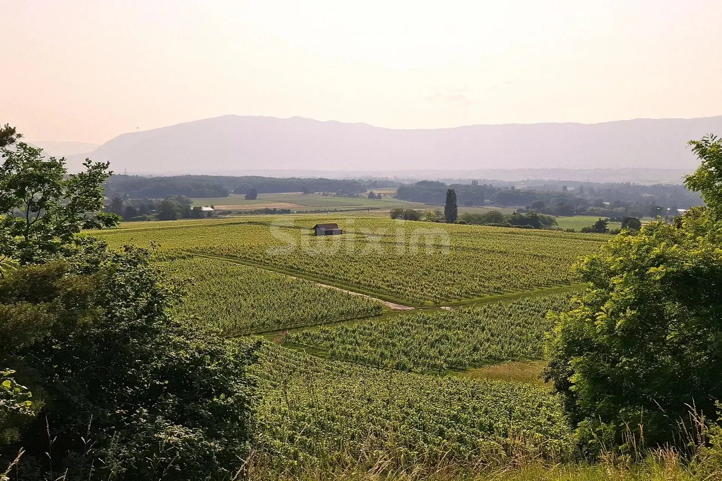 Propriété unique - Photo 1 sur 5