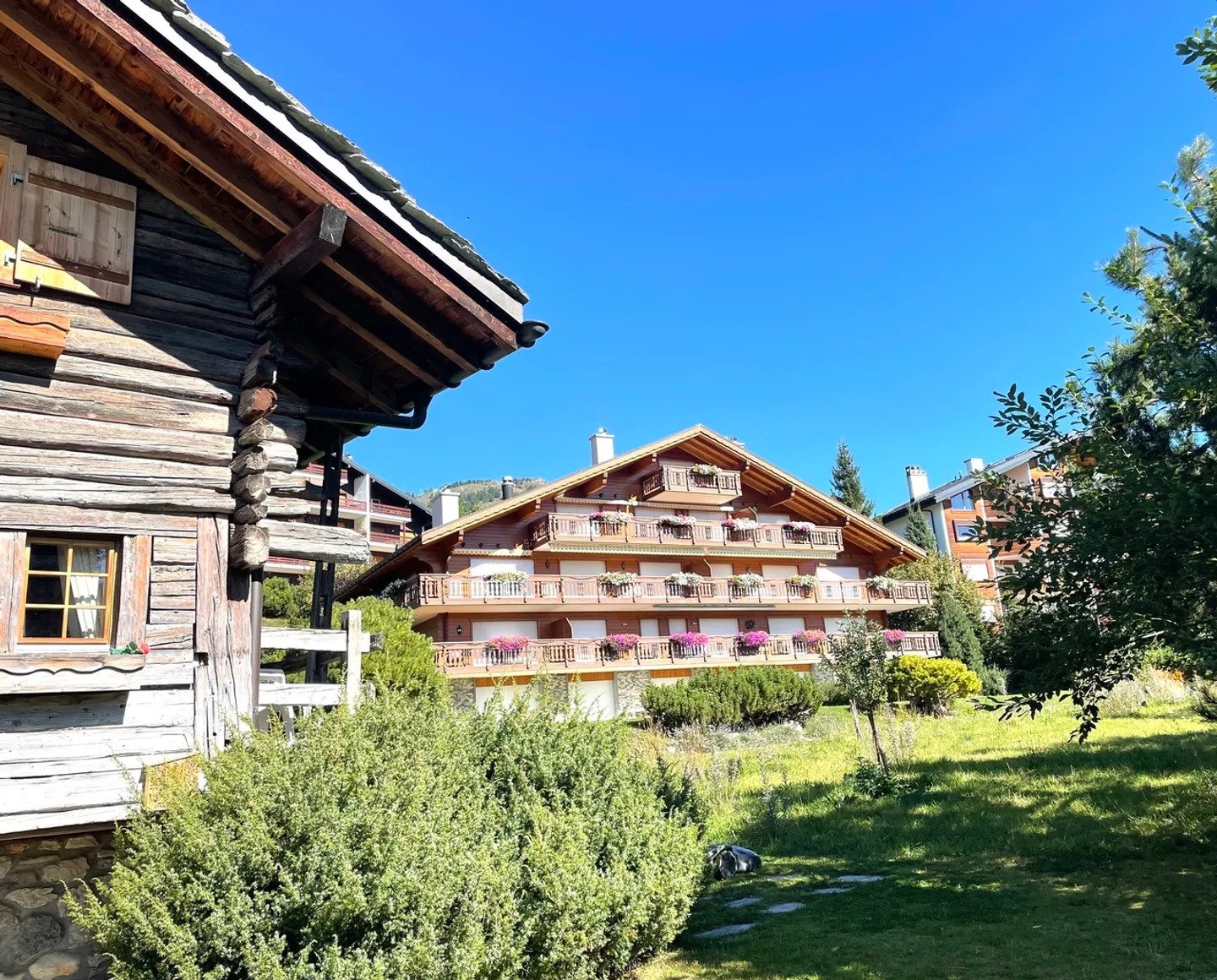 Appartamento in affitto - Foto 2 di 9