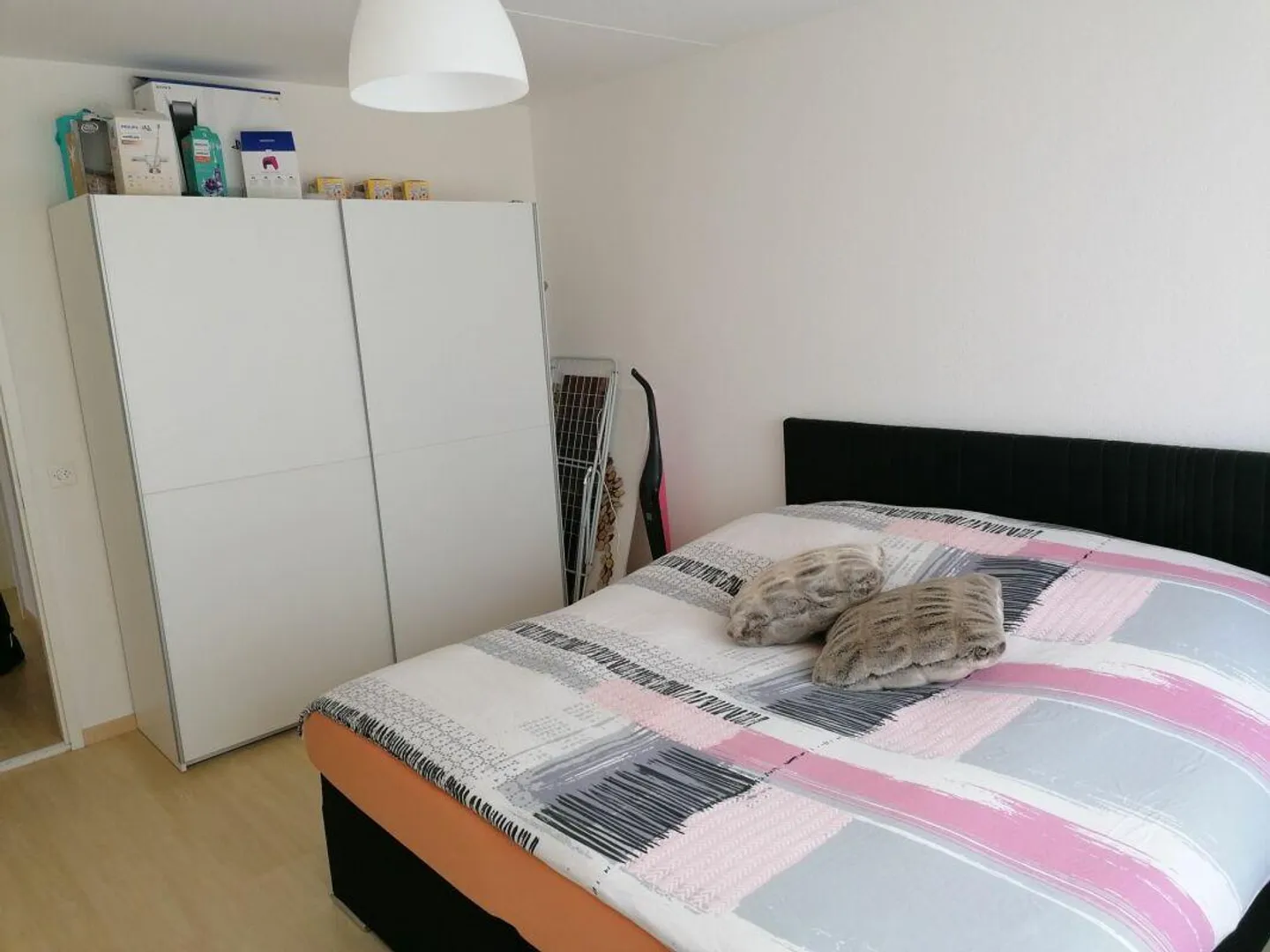 Cozy 2 Room Apartment - Photo 3 of 12