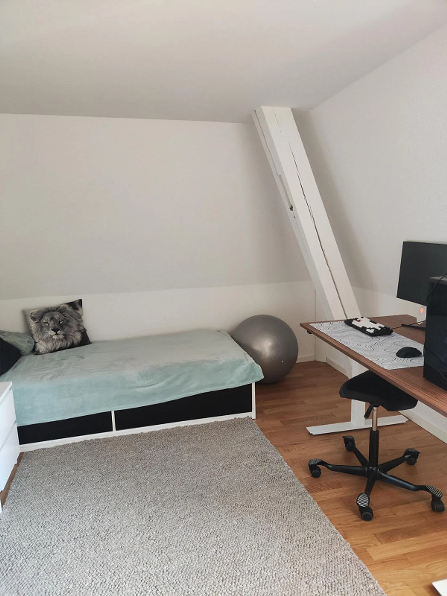 Charmante Wohnung in Amriswil - Foto 7 von 11