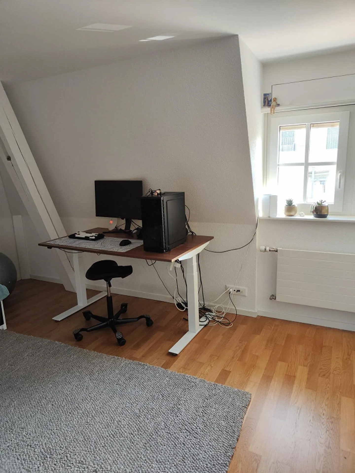 Charmante Wohnung in Amriswil - Foto 8 von 11