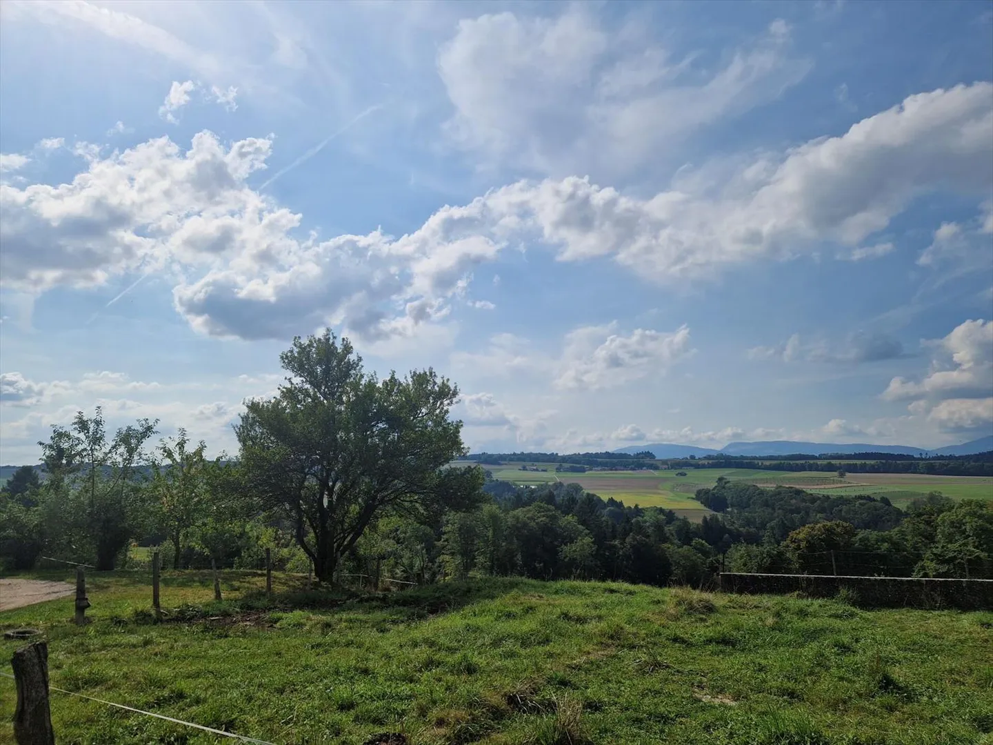 Nuovo appartamento di 2.5 locali a Bioley-Magnoux - Foto 9 di 13