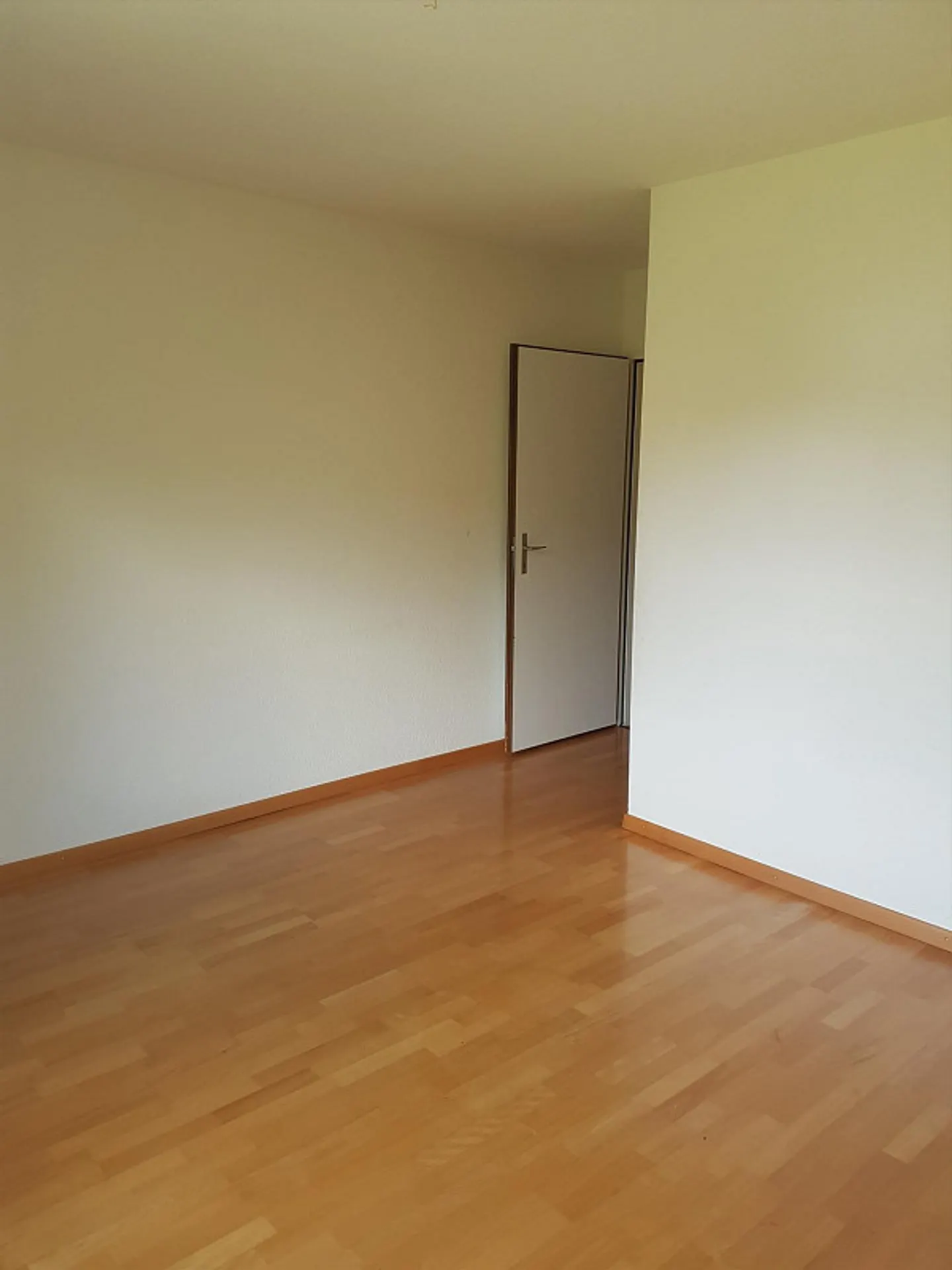 Bright 4.5-Room Apartment - Photo 5 of 6