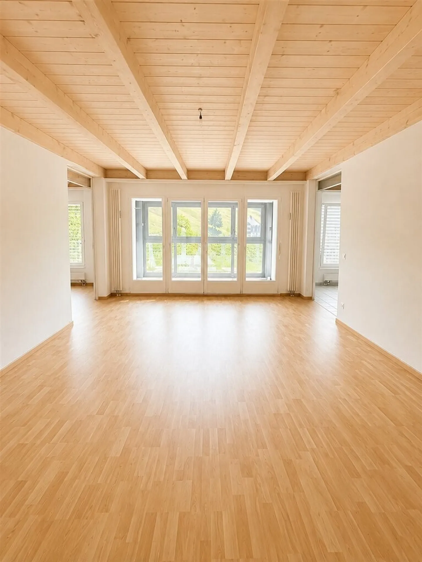 Vivere con vista - La tua nuova casa a Walzenhausen - Foto 2 di 11