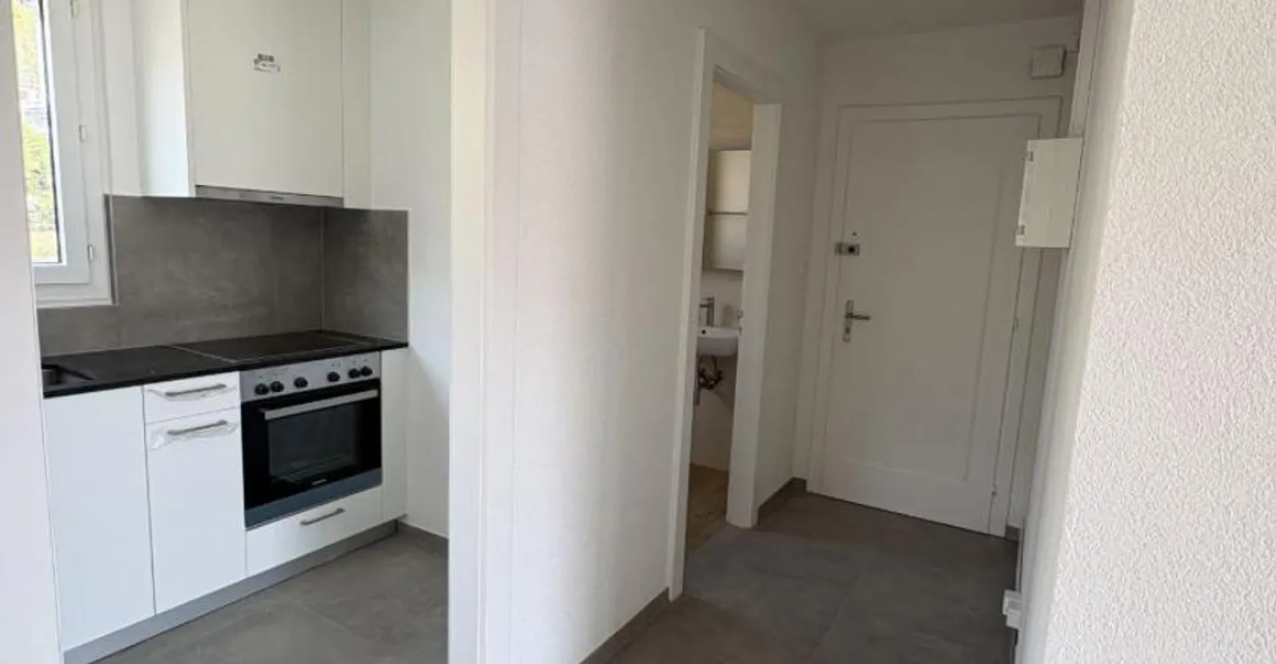 Fully renovated 3-room apartment - Photo 1 of 8