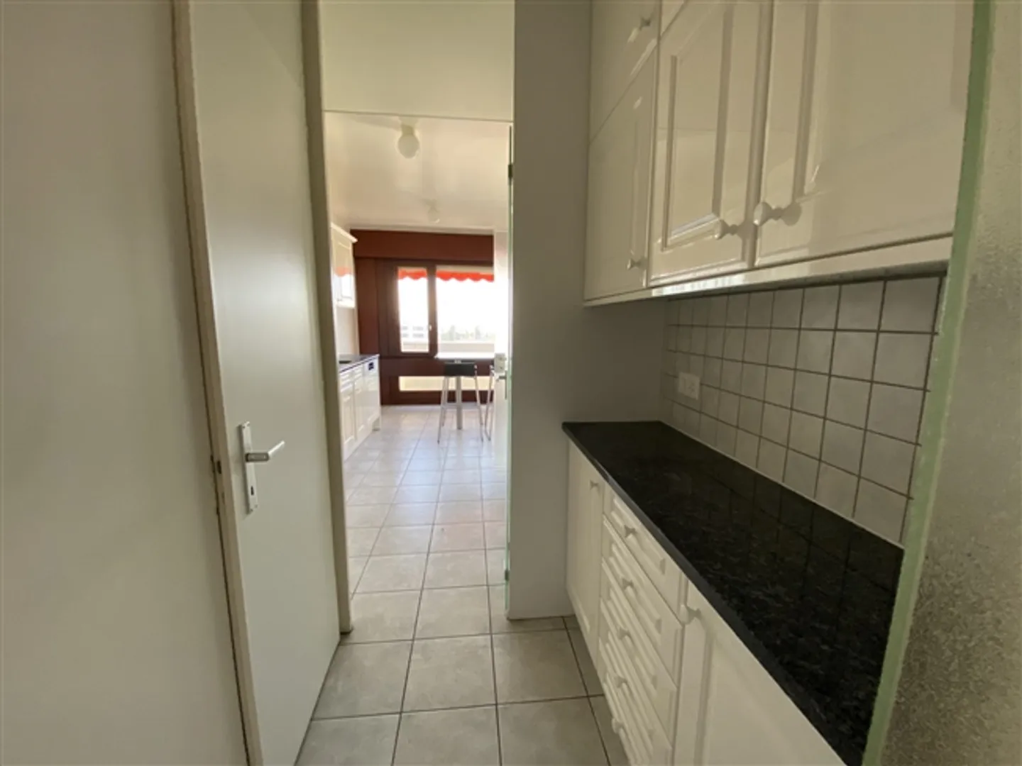 Appartamento duplex - vista mozzafiato su Ginevra - Foto 5 di 15