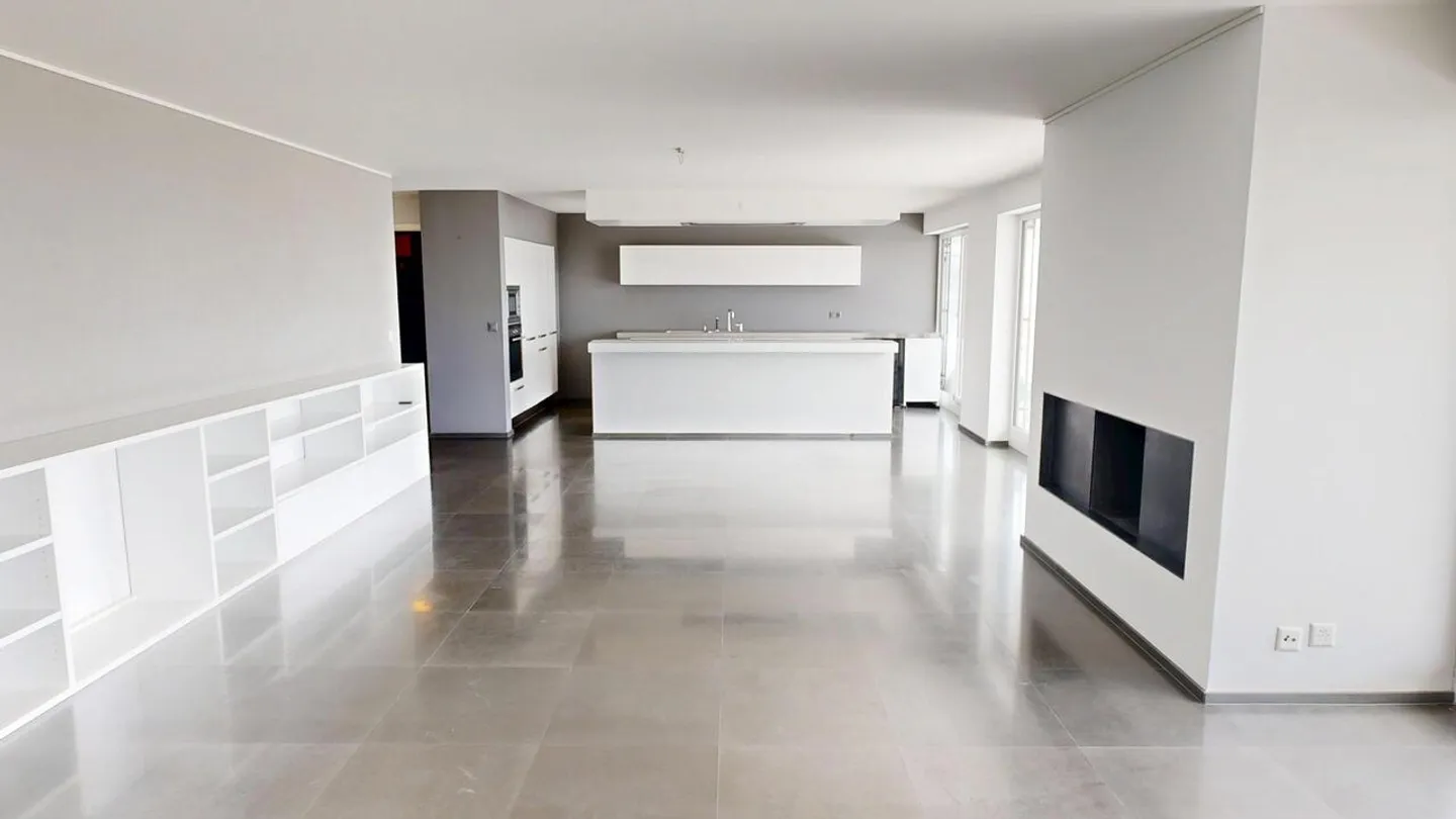 4.5-room apartment with terrace and panoramic view of the lake - Photo 5 of 24