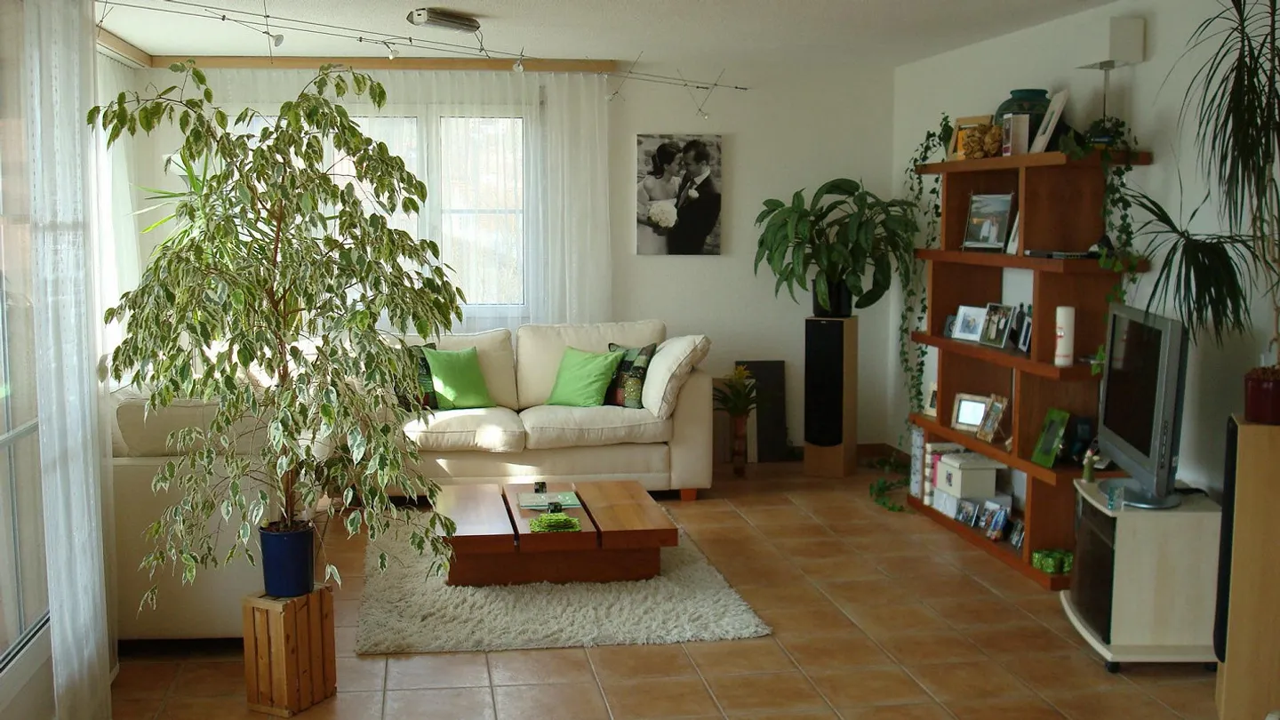 Appartement spacieux de 4,5 pièces (2ème étage) - Photo 2 sur 9