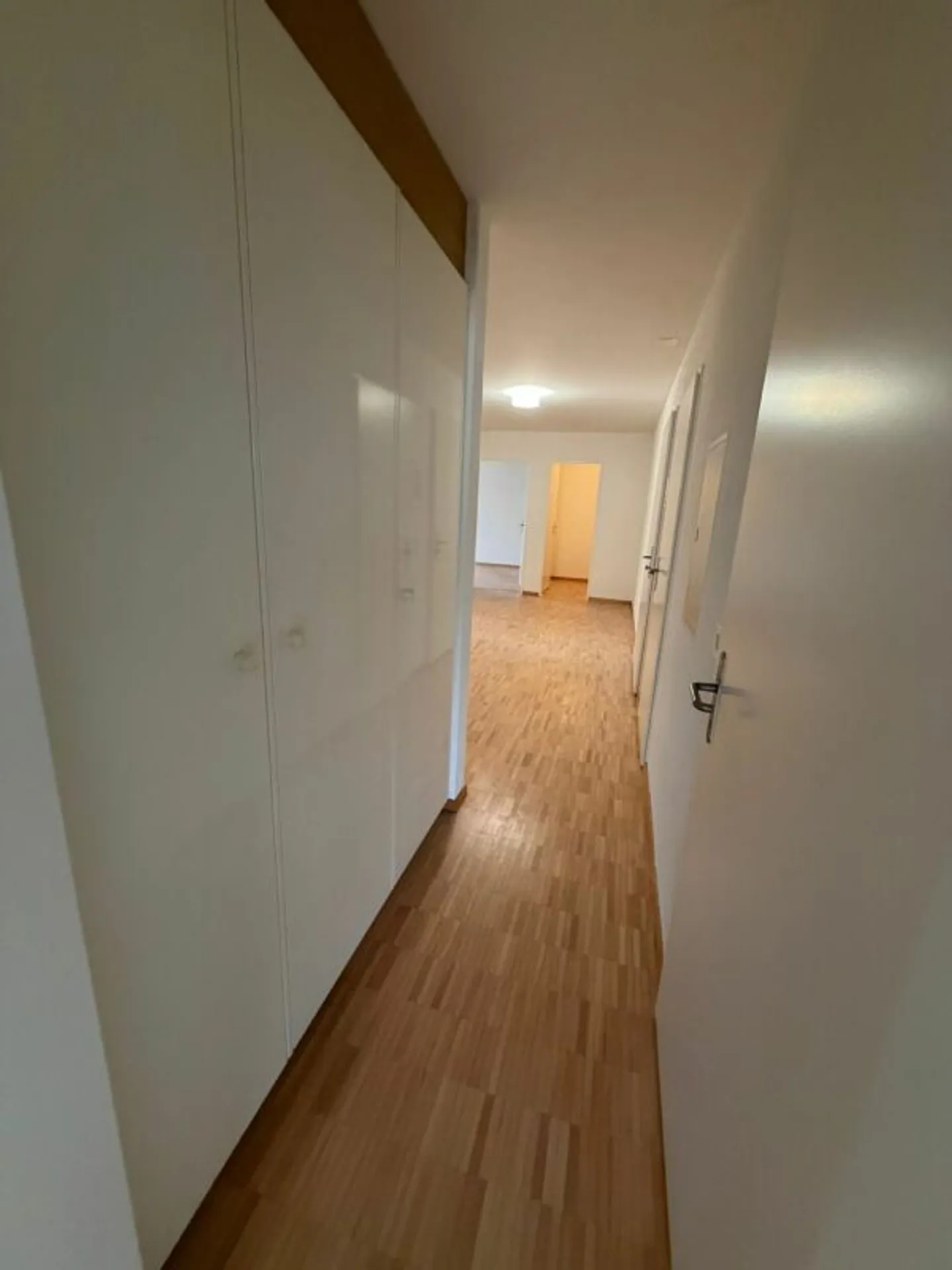 Ampio appartamento 4.5 locali - Foto 4 di 12