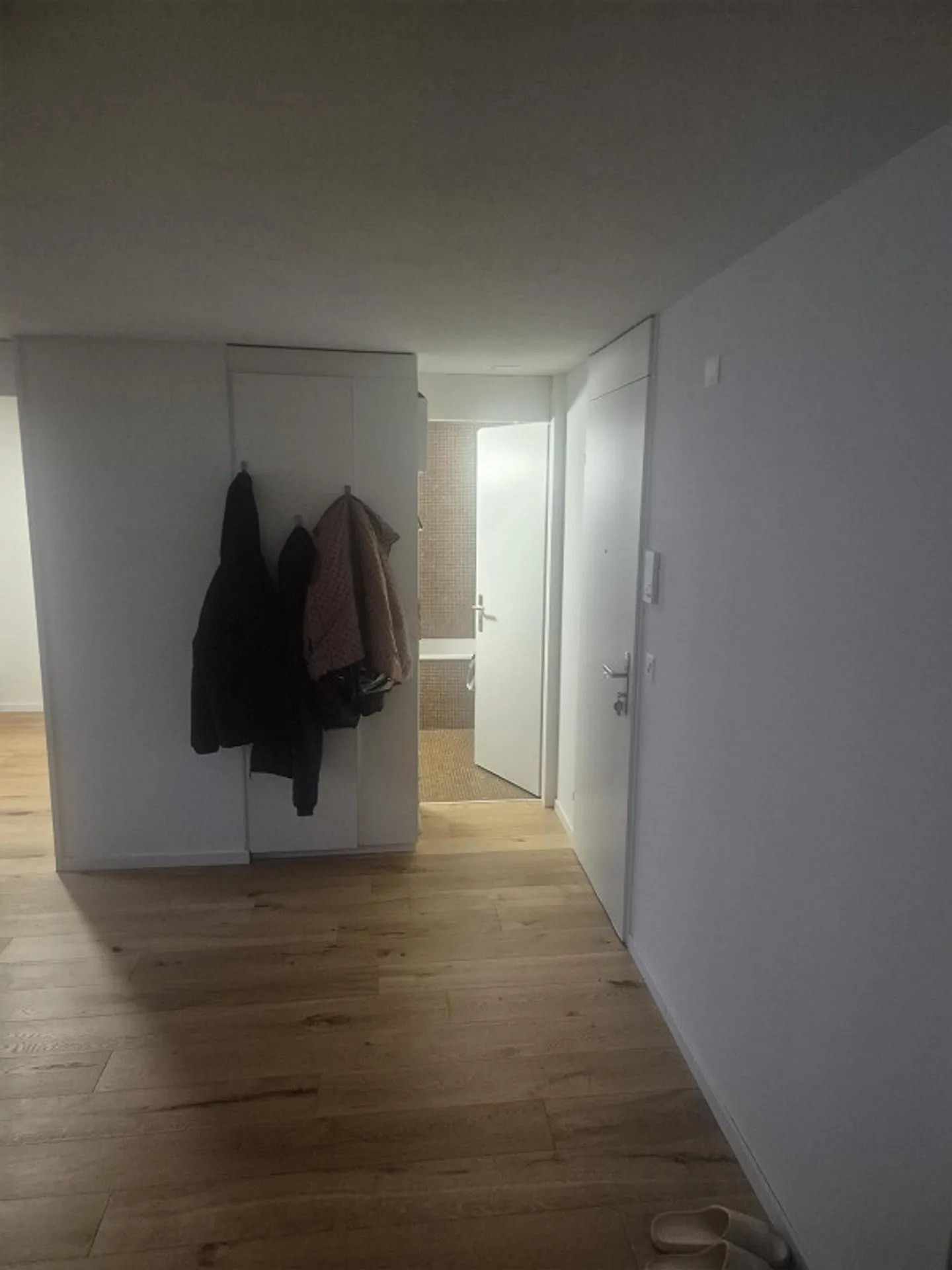 Attractive 2.5 Room Apartment - Photo 4 of 6