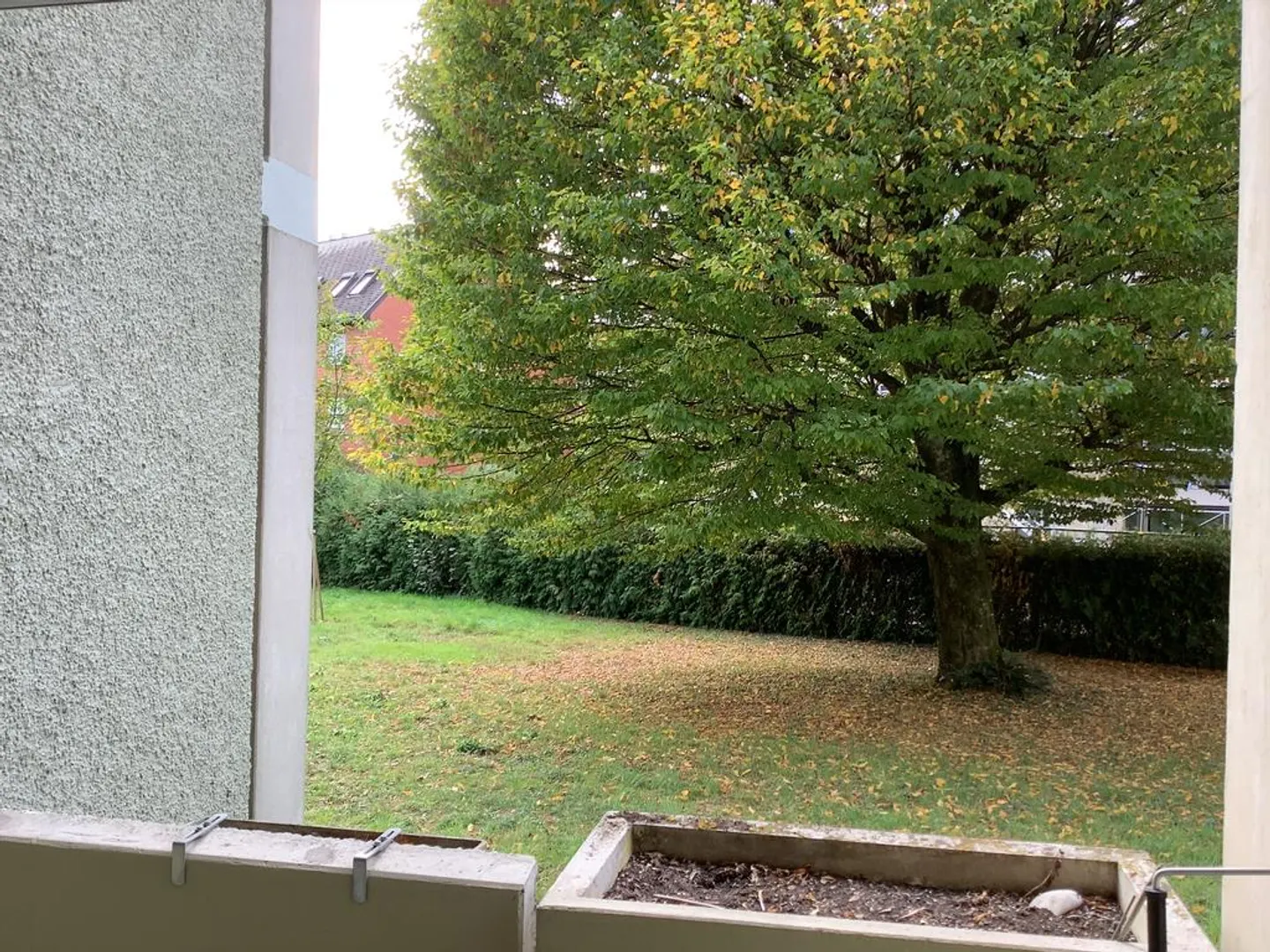 Ottimo appartamento con charme direttamente sulla Sihl - Foto 11 di 11