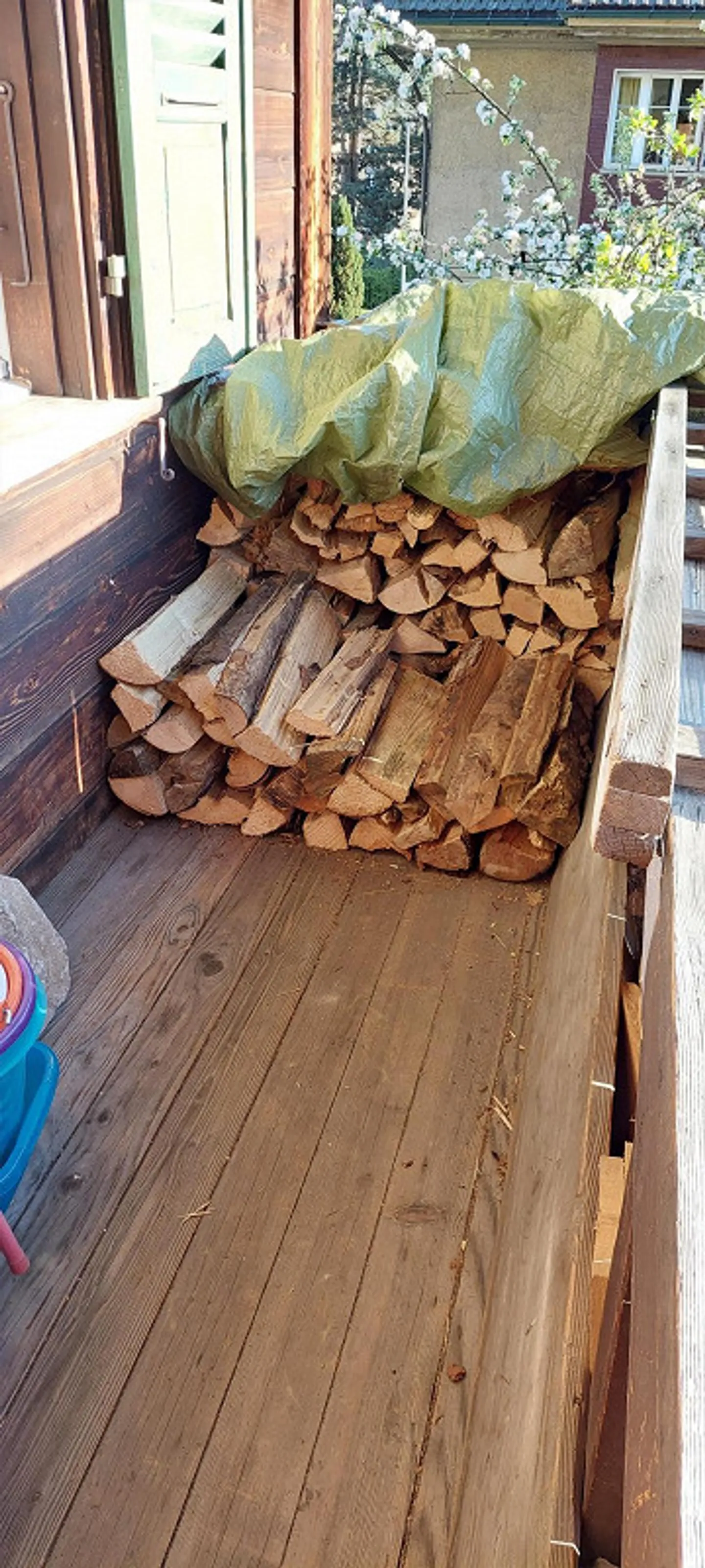 Charmante Wohnung im Holzhaus - Foto 12 von 17