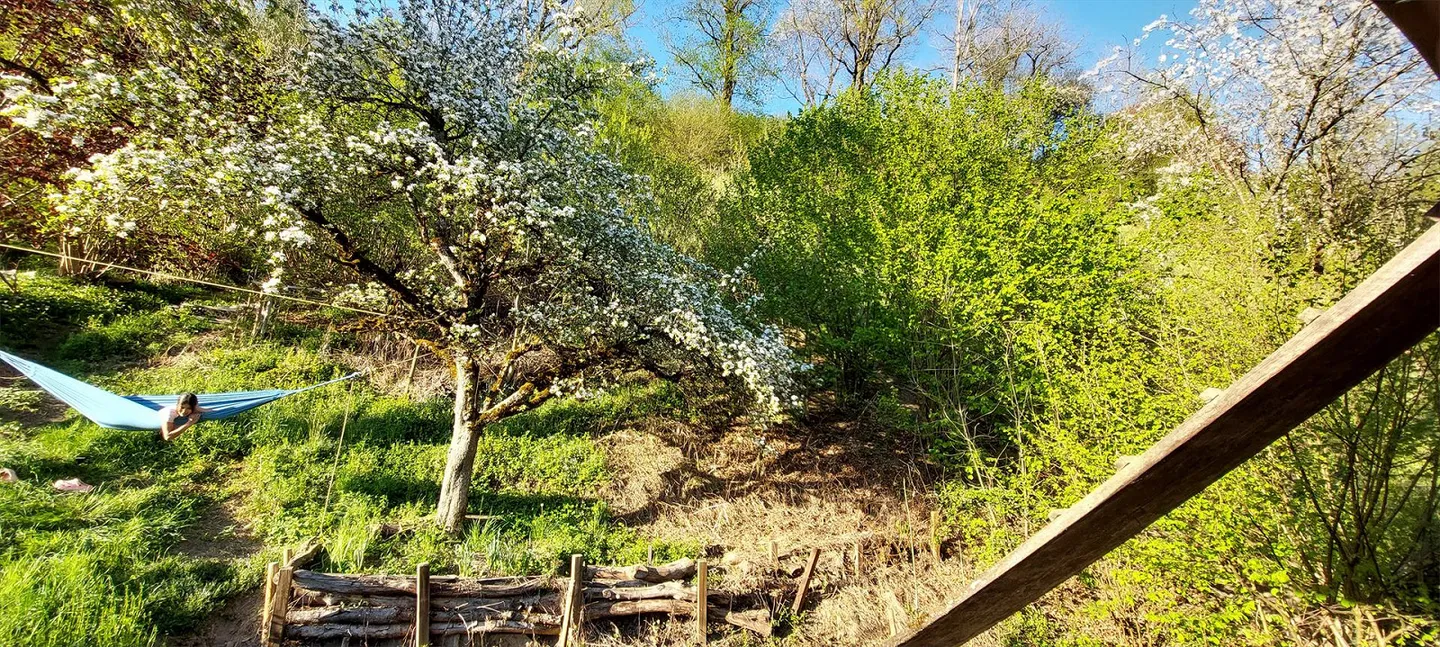Charmante Wohnung im Holzhaus - Foto 14 von 17
