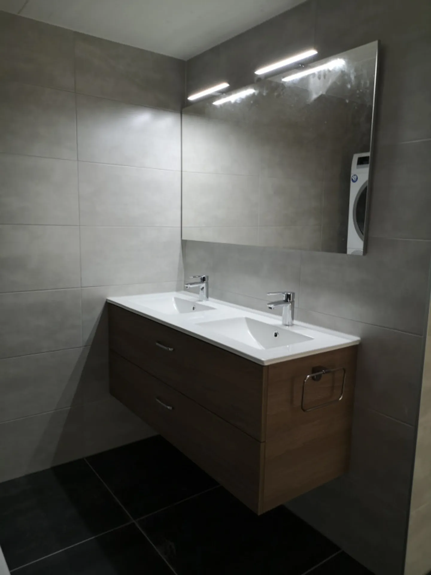 Modern Duplex with Lake View - Photo 9 of 13