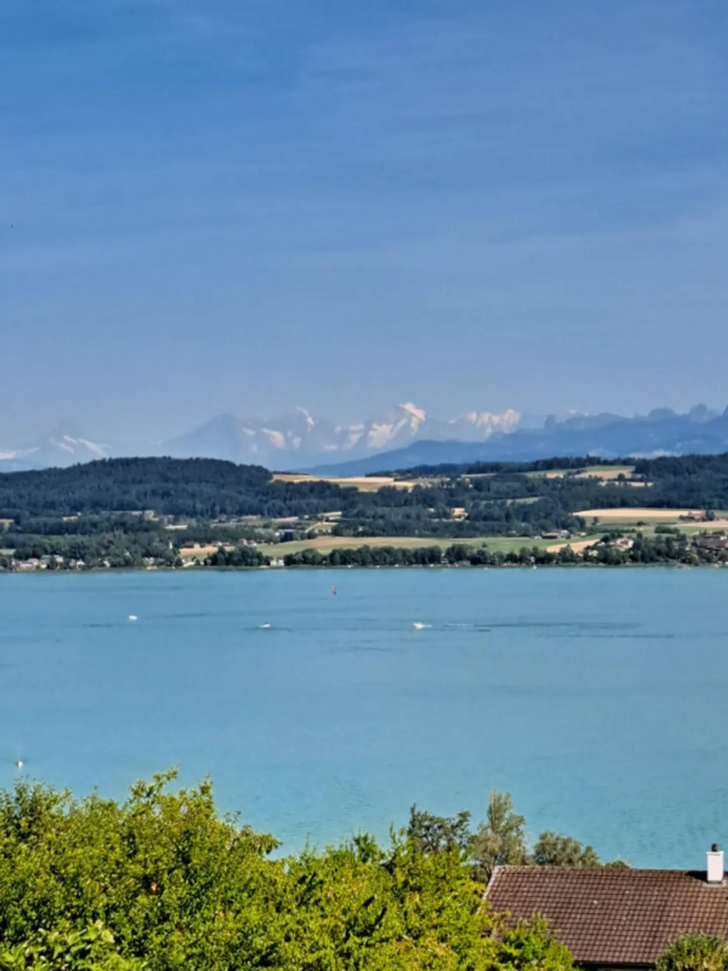 Modern Duplex with Lake View - Photo 1 of 13