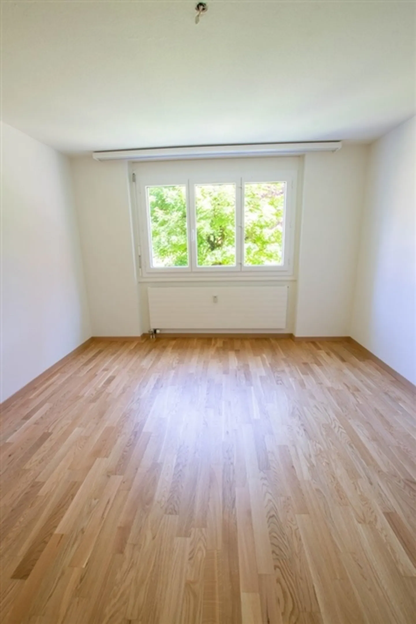 Belle appartement de 2,5 pièces avec vue sur la verdure - Photo 4 sur 6