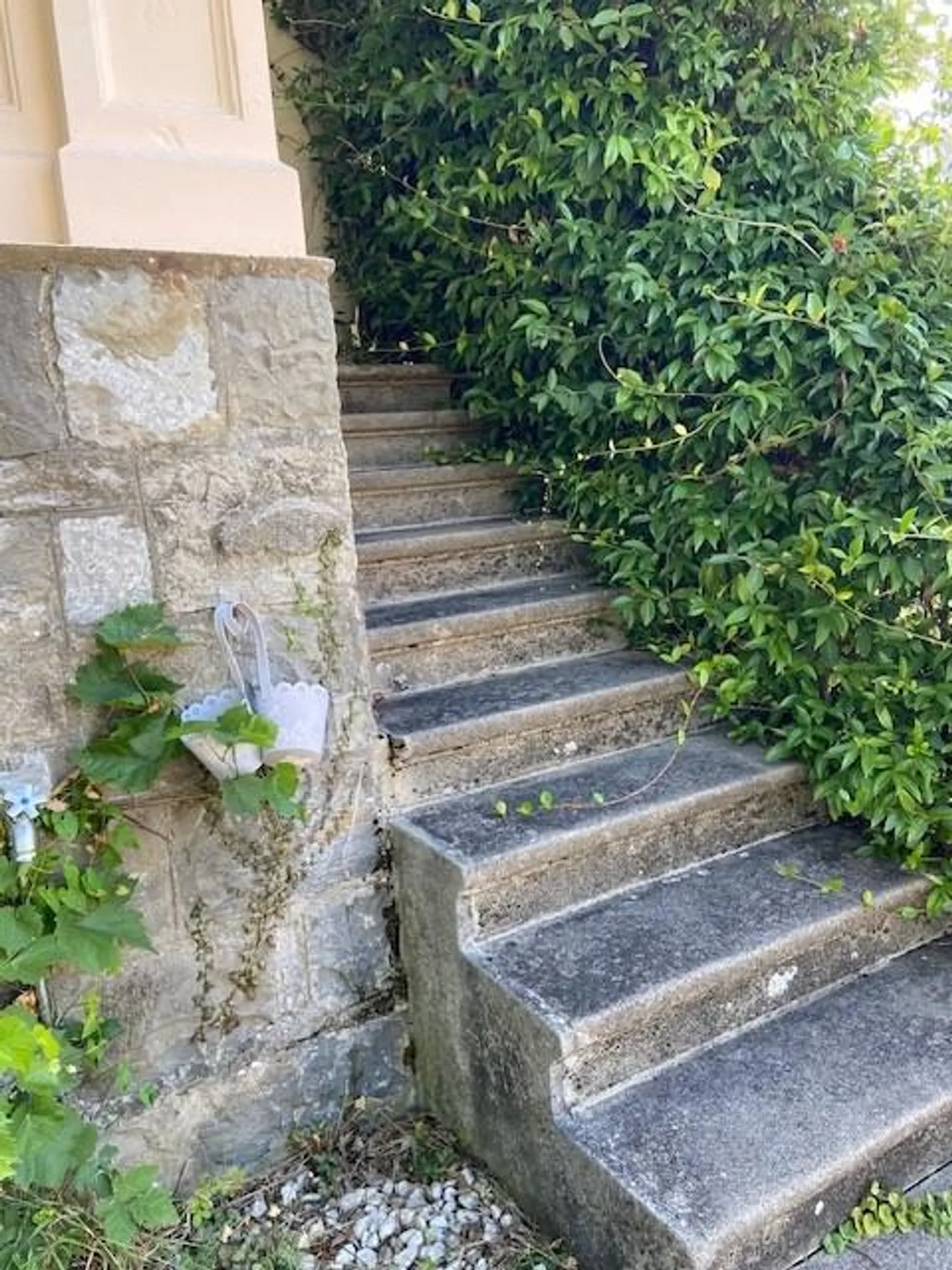 Appartamento 3,5 locali con giardino a Renens - Foto 6 di 11
