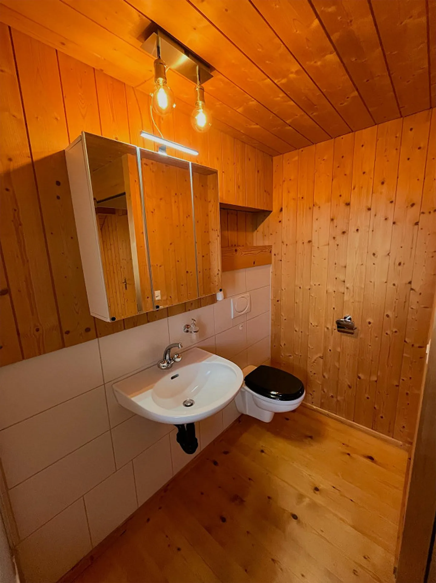 Charming 2.5-room attic apartment in the countryside with Alpine views - Photo 11 of 13
