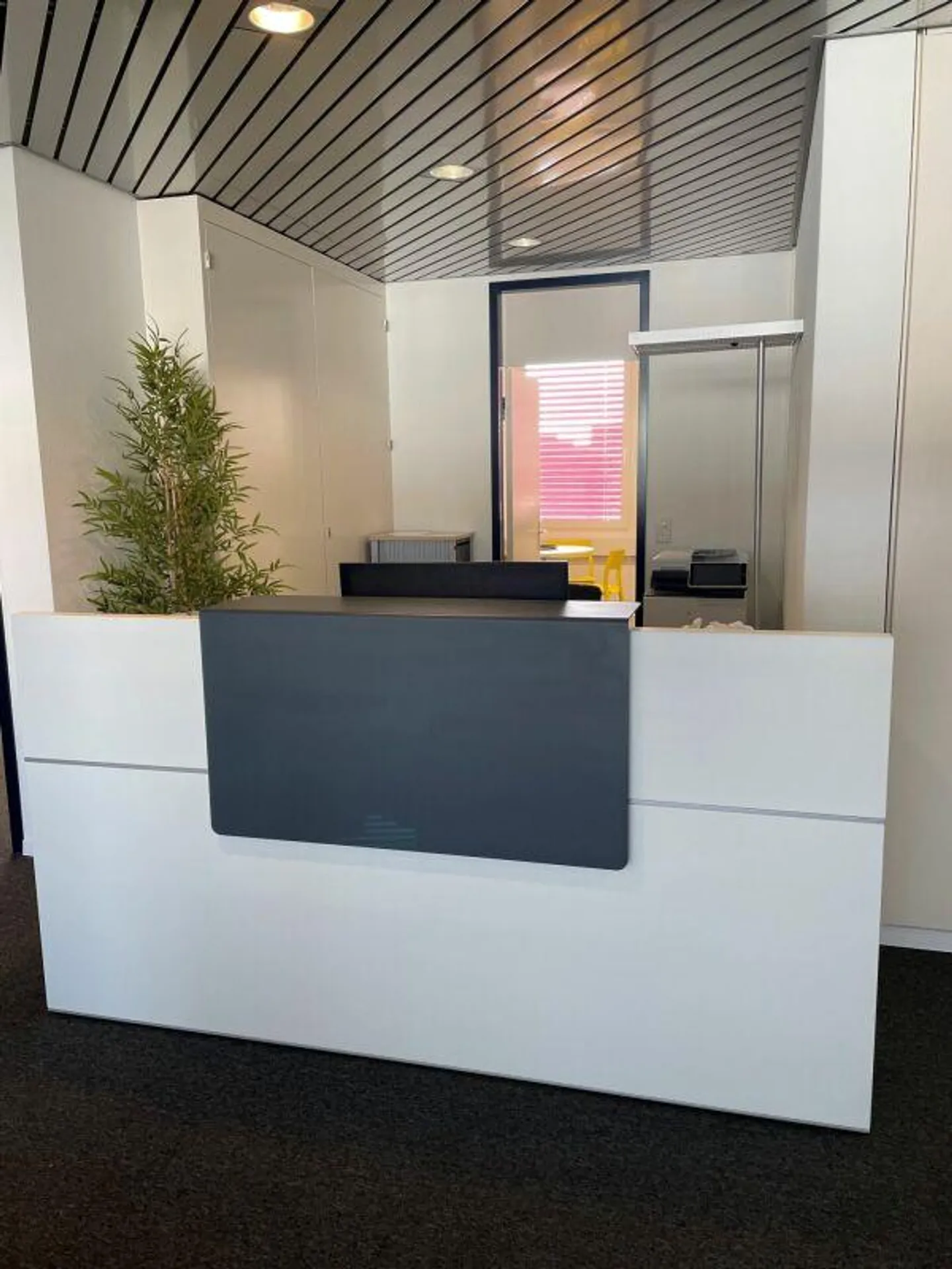 UFFICIO LUMINOSO IN POSIZIONE IDEALE I AREA DI CO-WORKING - Foto 4 di 5