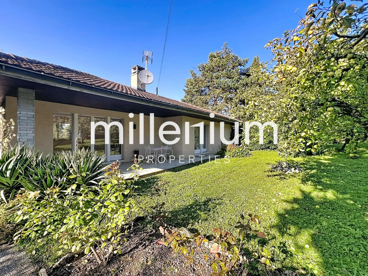 Single house for rent - Photo 12 of 12