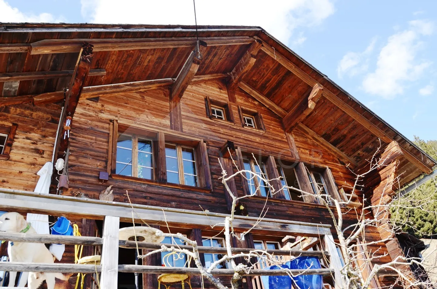Chalet à vendre - Photo 1 sur 15