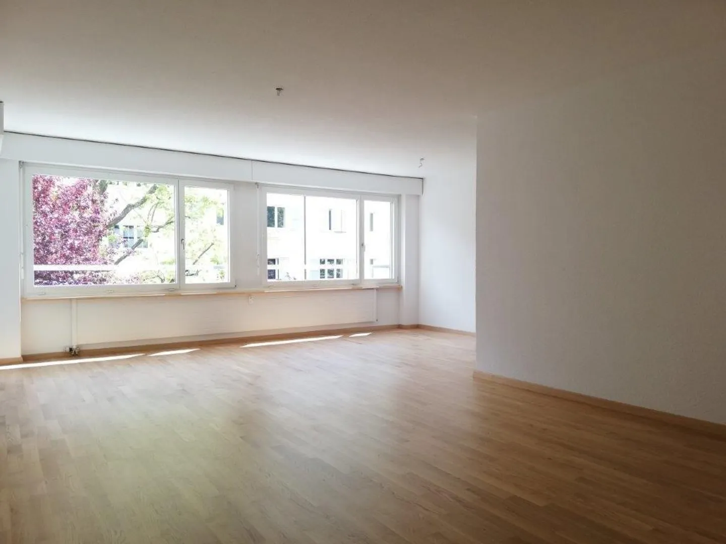 Vivere nel quartiere di Länggass - Foto 2 di 4