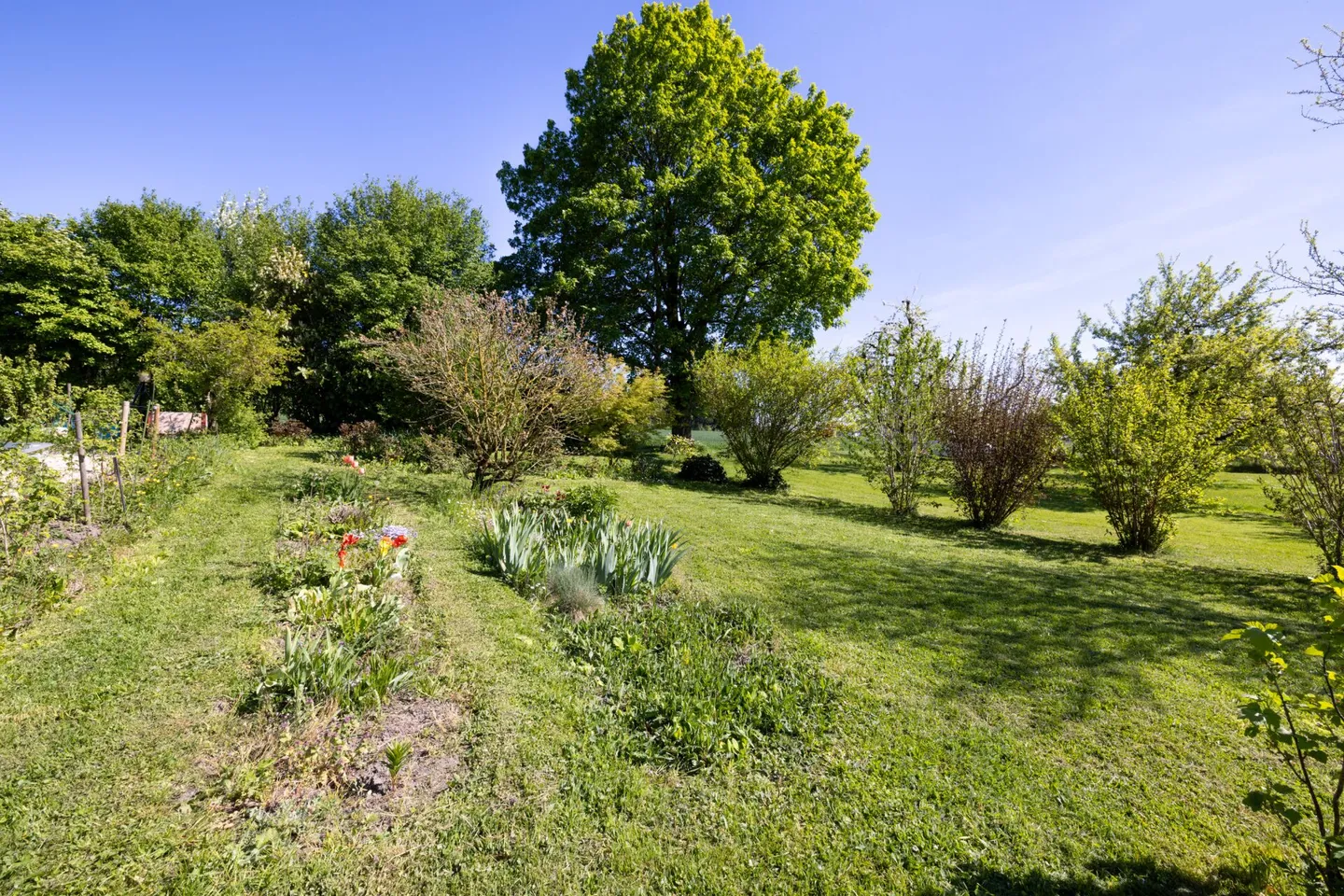 Historisches Familienhaus - Foto 11 von 13