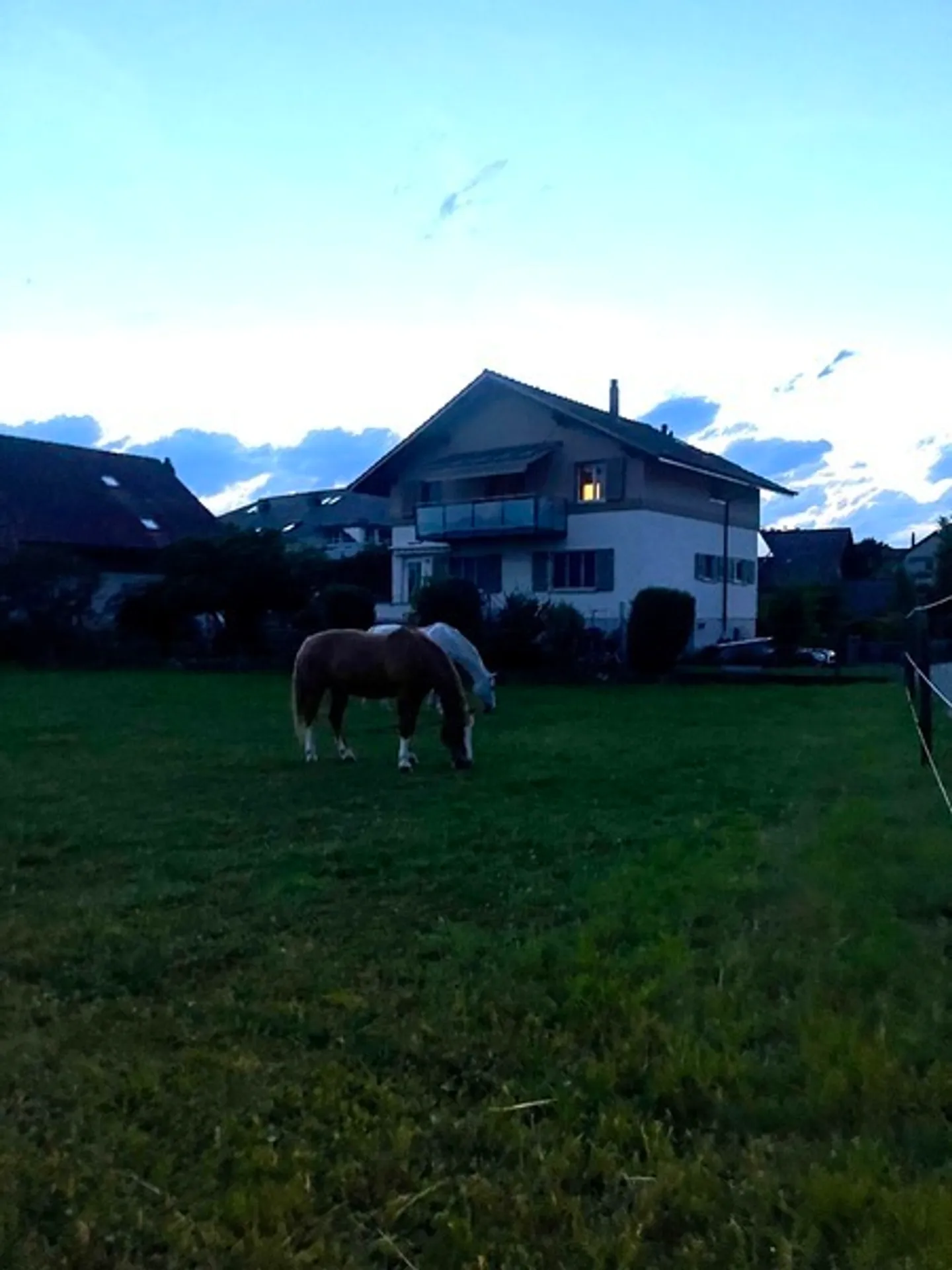 Appartamento in affitto - Foto 9 di 10