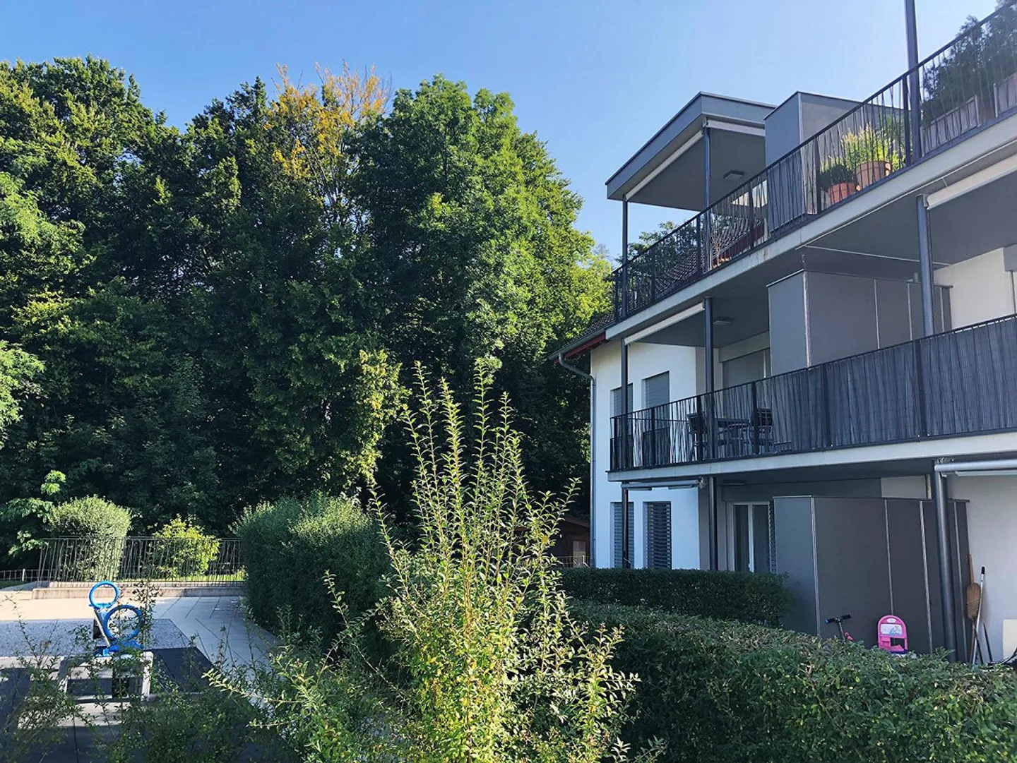 Living at the Forest Edge - Photo 1 of 13