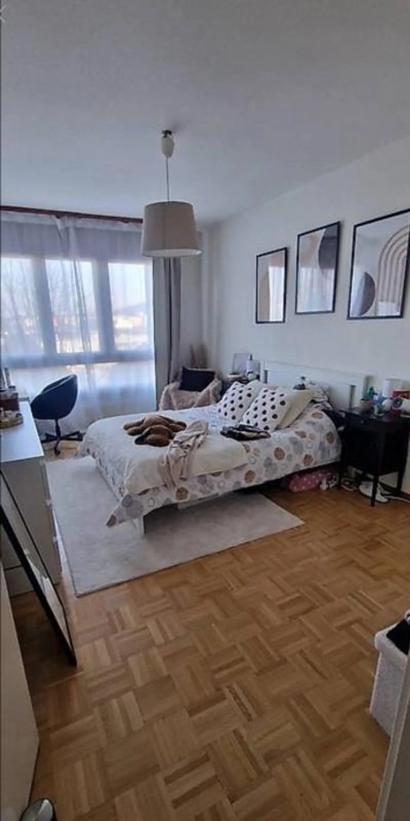 5-ROOM APARTMENT FOR RENT GRAND-LANCY (1212) - Photo 4 of 5