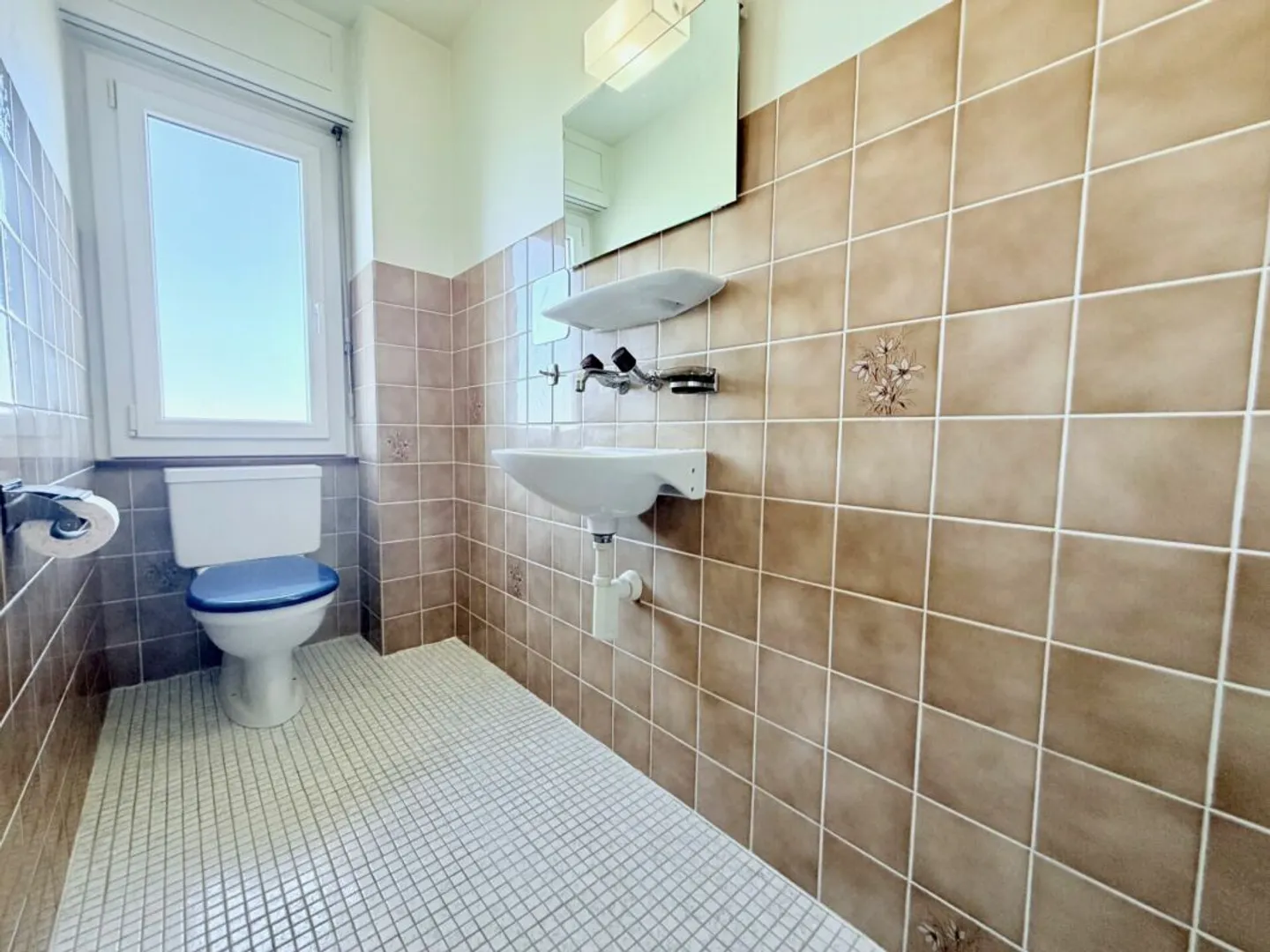 Spacious Attic Apartment in Farvagny - Photo 9 of 10