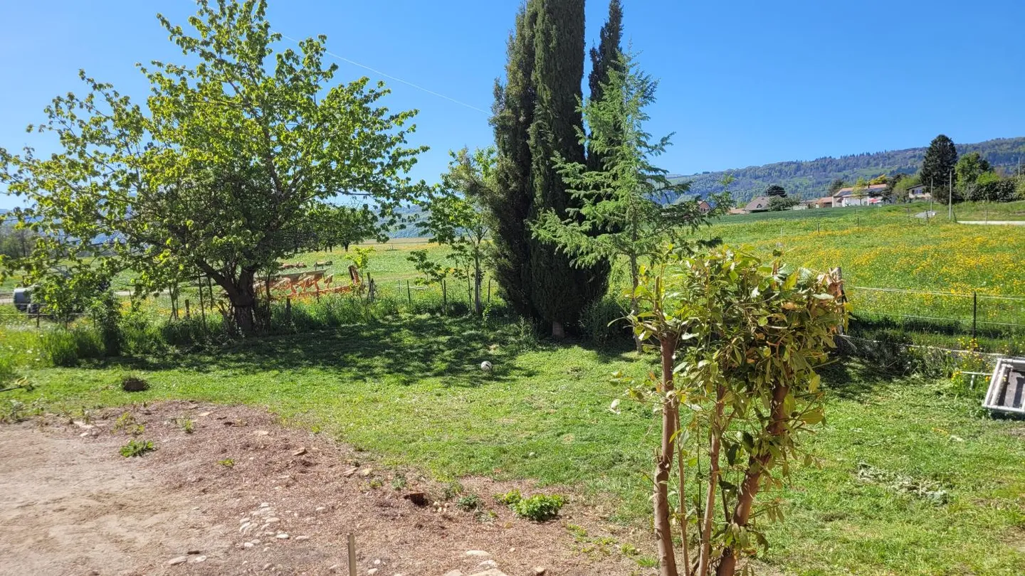 Villa 6,5 stanze - Foto 7 di 11